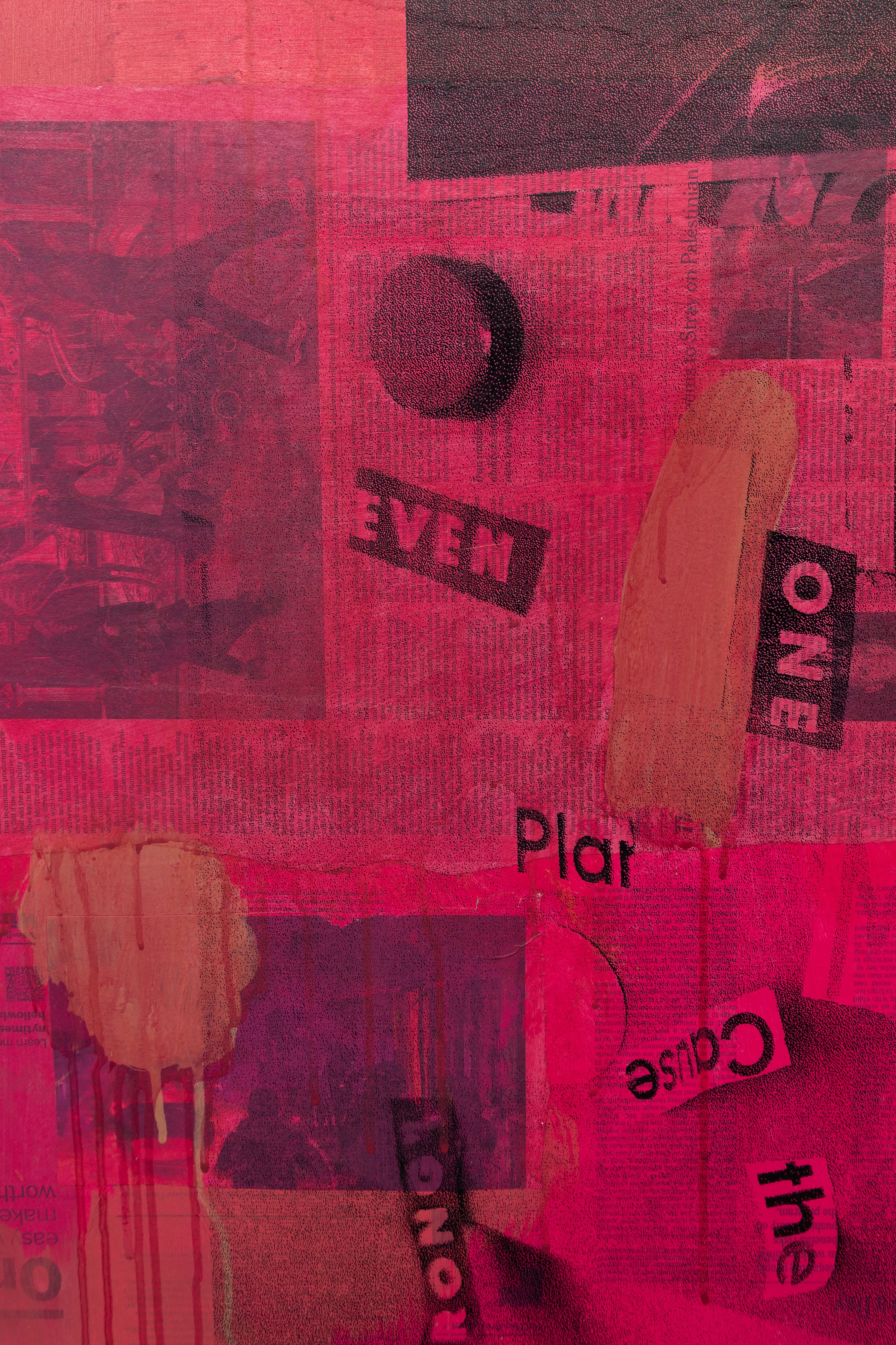 Andy Meerow, Heart of Palm at Derosia, photo 15