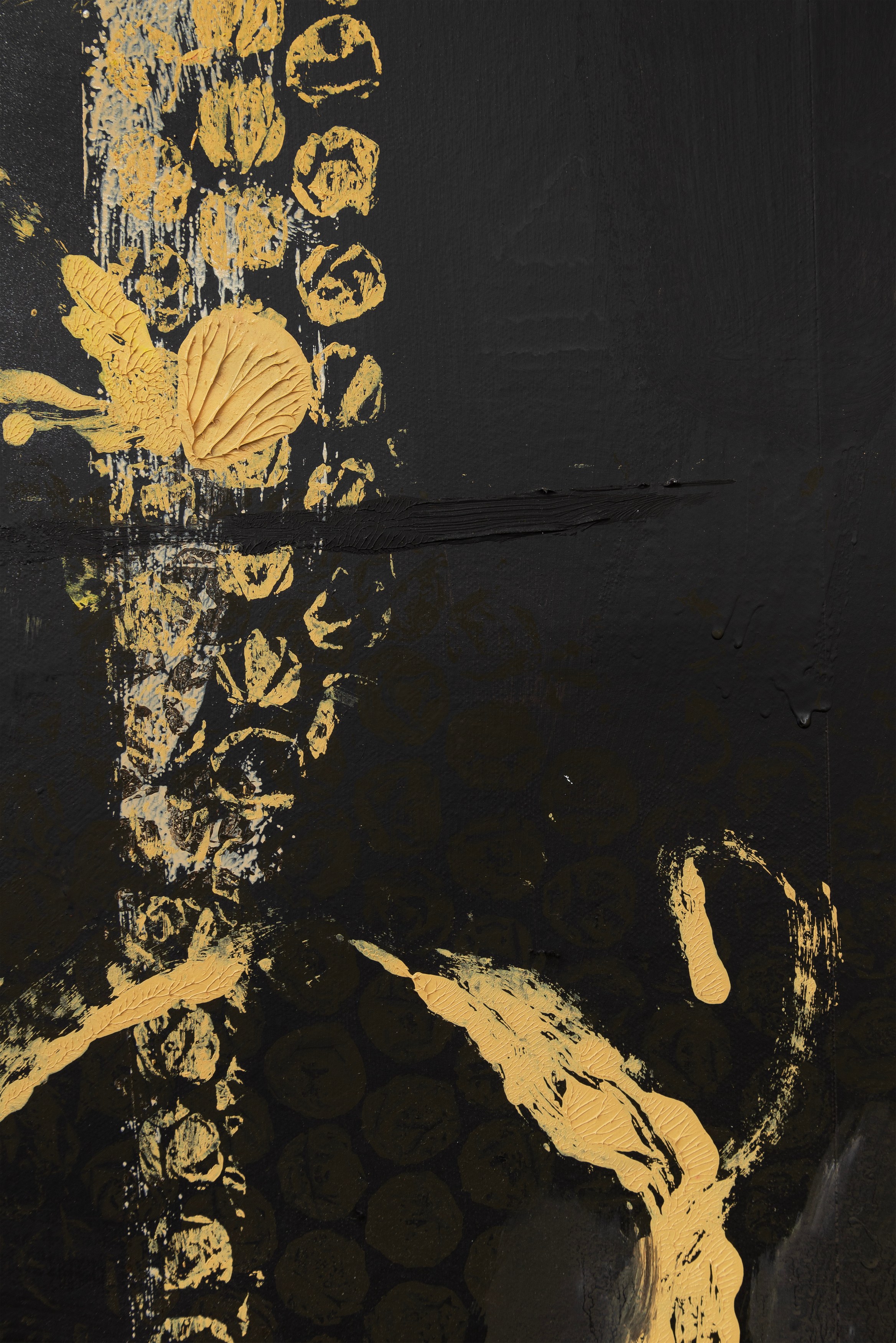 Andy Meerow, Heart of Palm at Derosia, photo 18