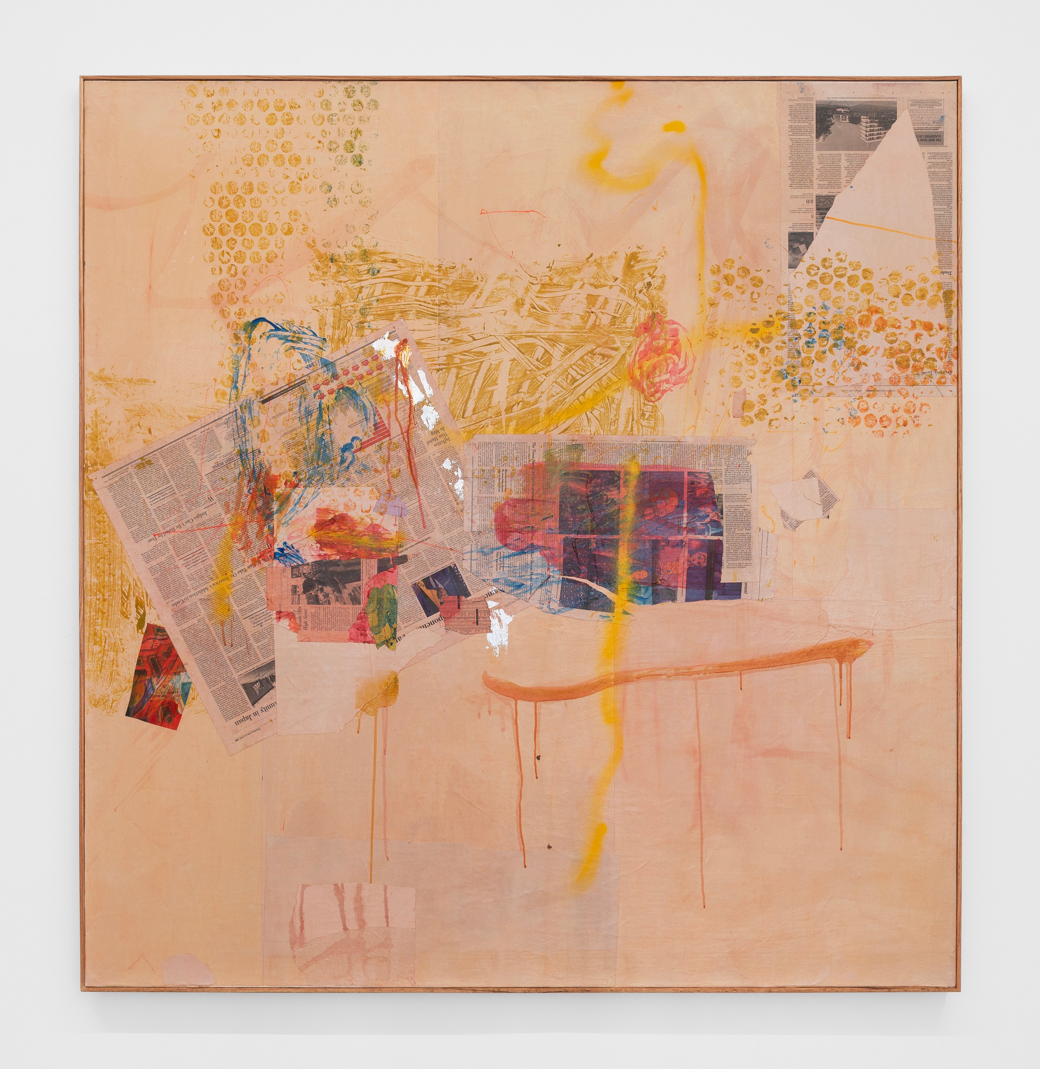 Andy Meerow, Heart of Palm at Derosia, photo 19