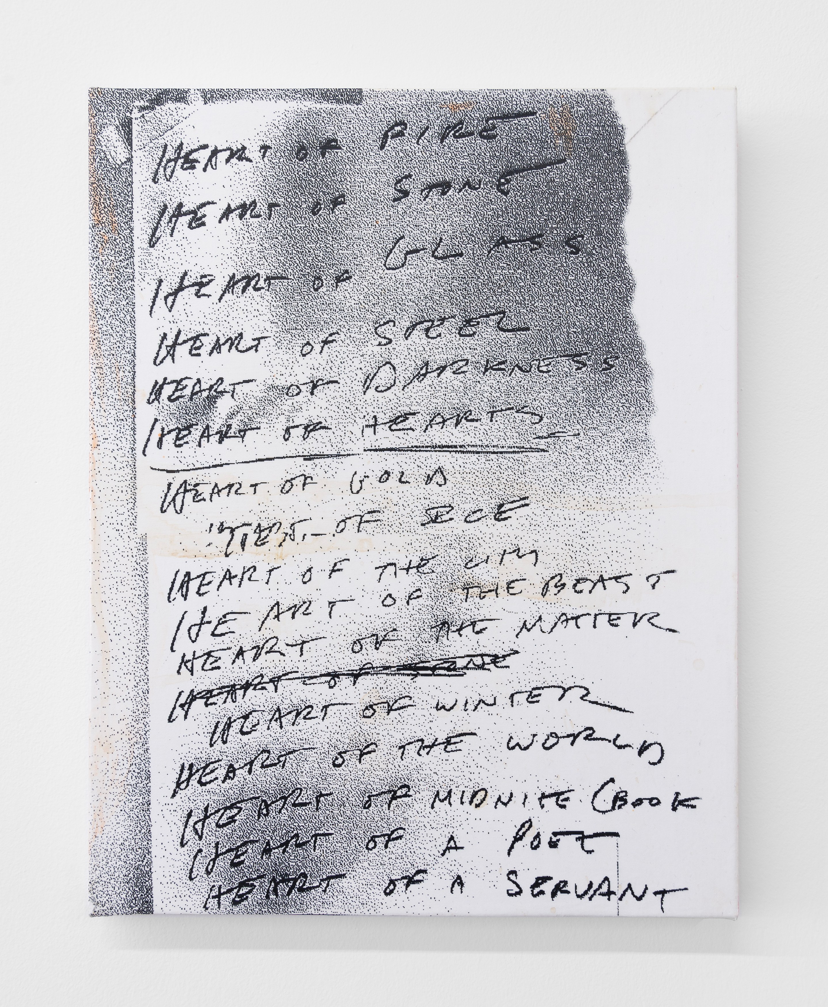 Andy Meerow, Heart of Palm at Derosia, photo 25