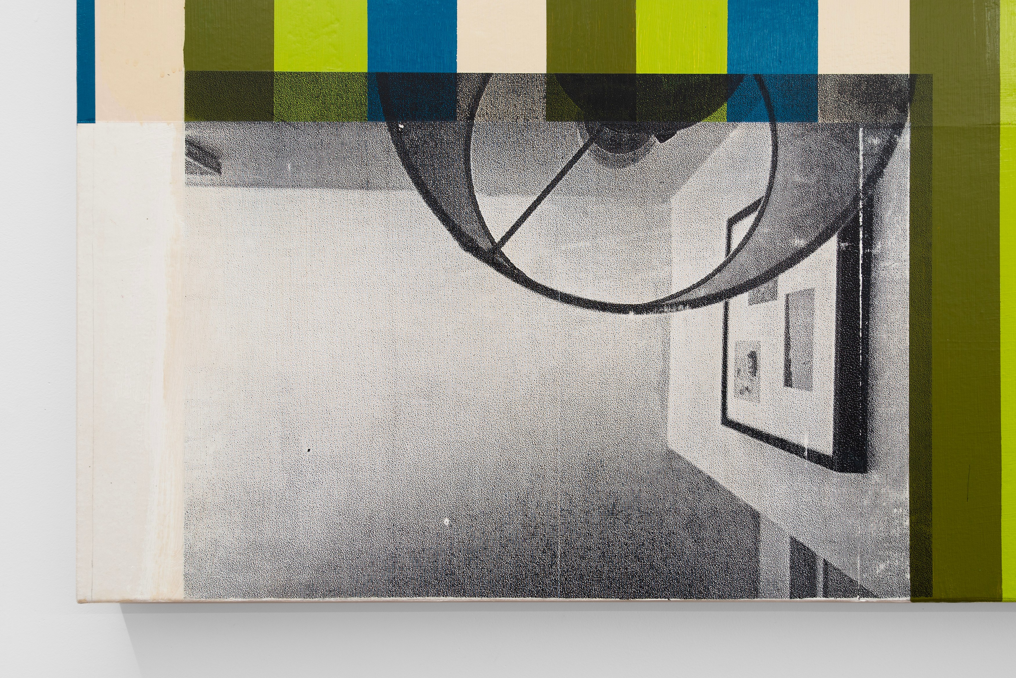 Andy Meerow, Heart of Palm at Derosia, photo 23