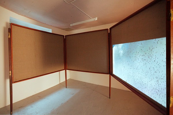 Image 9 of 23