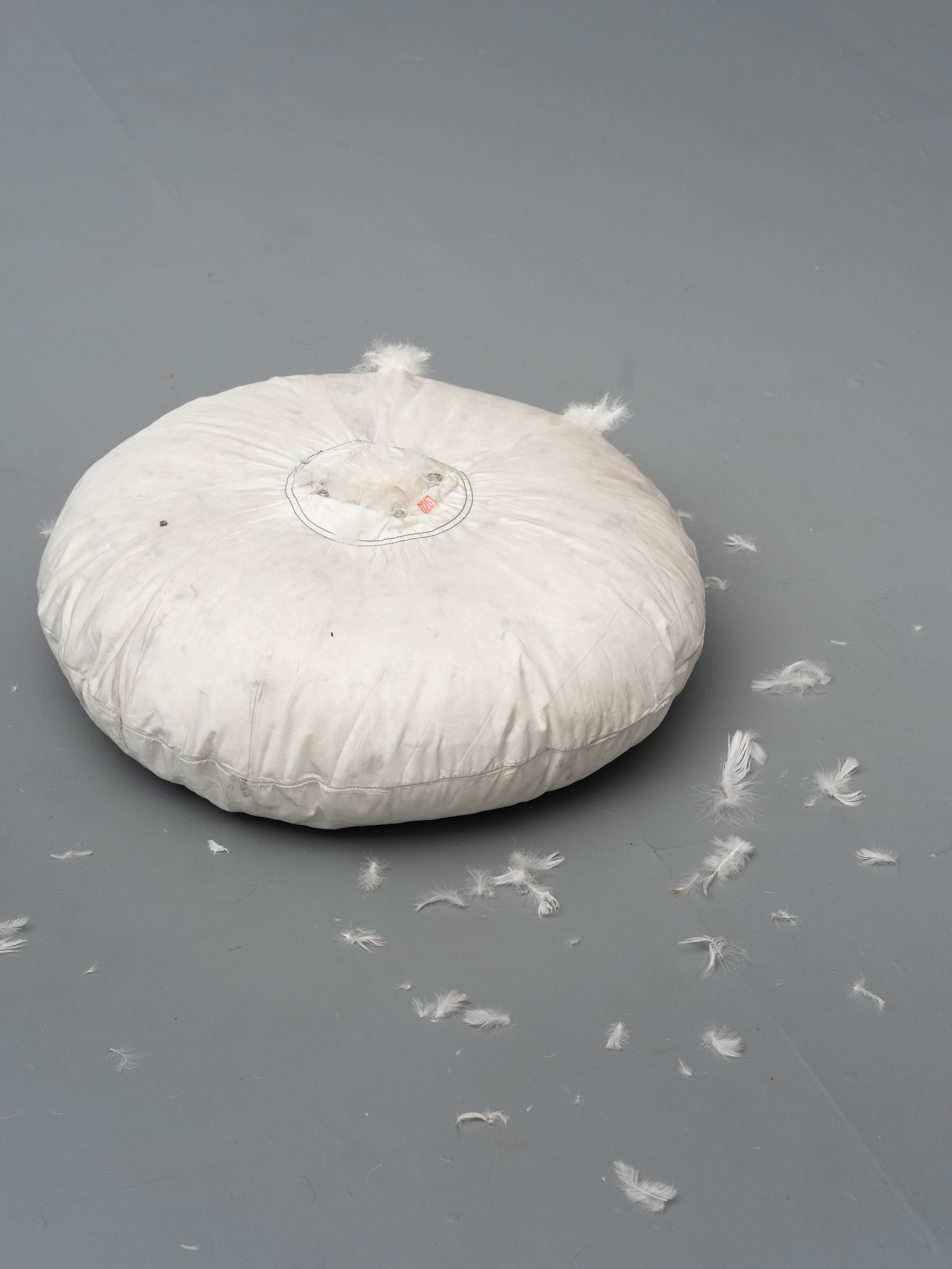 Andrew Cohen, Pillow Fight at Soldes, photo 6