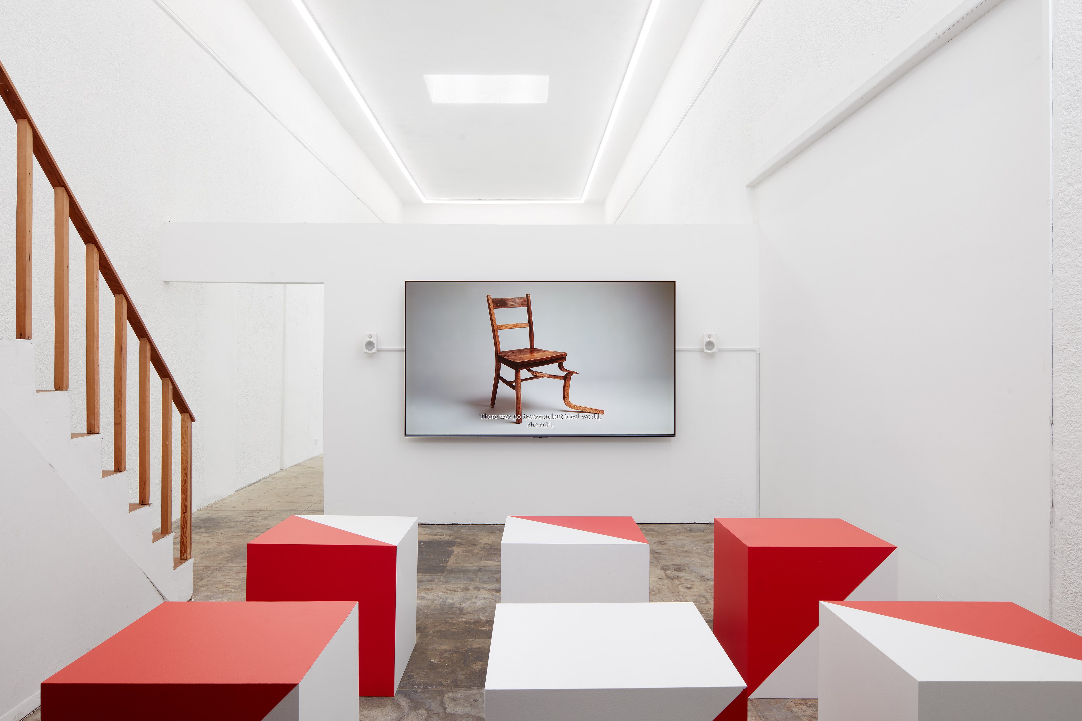 Coleman Collins, Latent Space at Ehrlich Steinberg, photo 11
