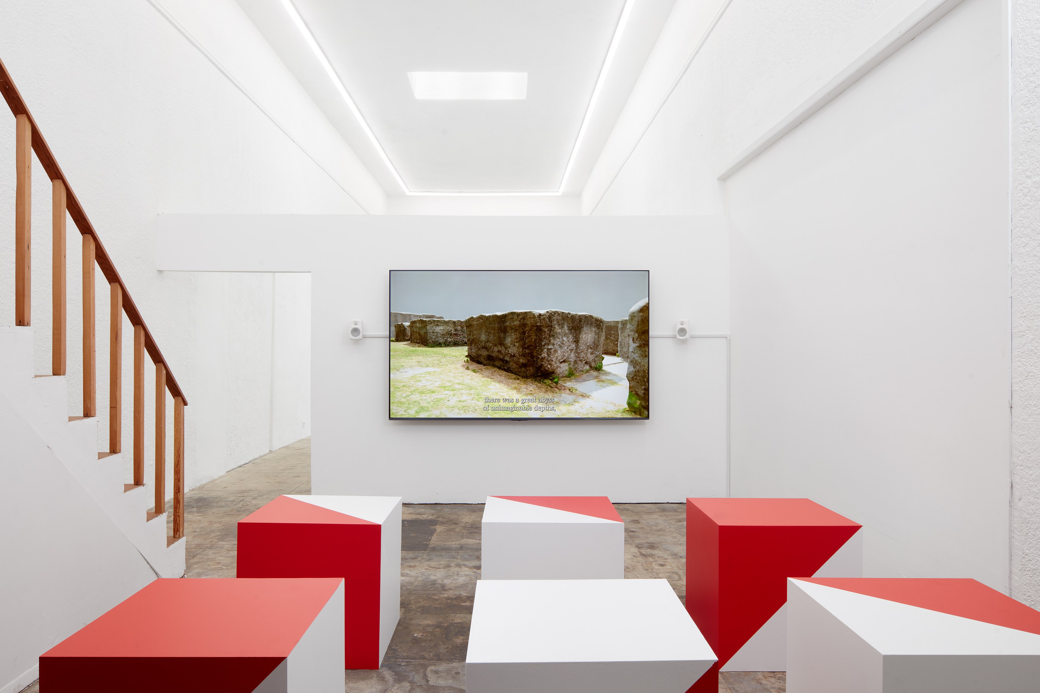 Coleman Collins, Latent Space at Ehrlich Steinberg, photo 10