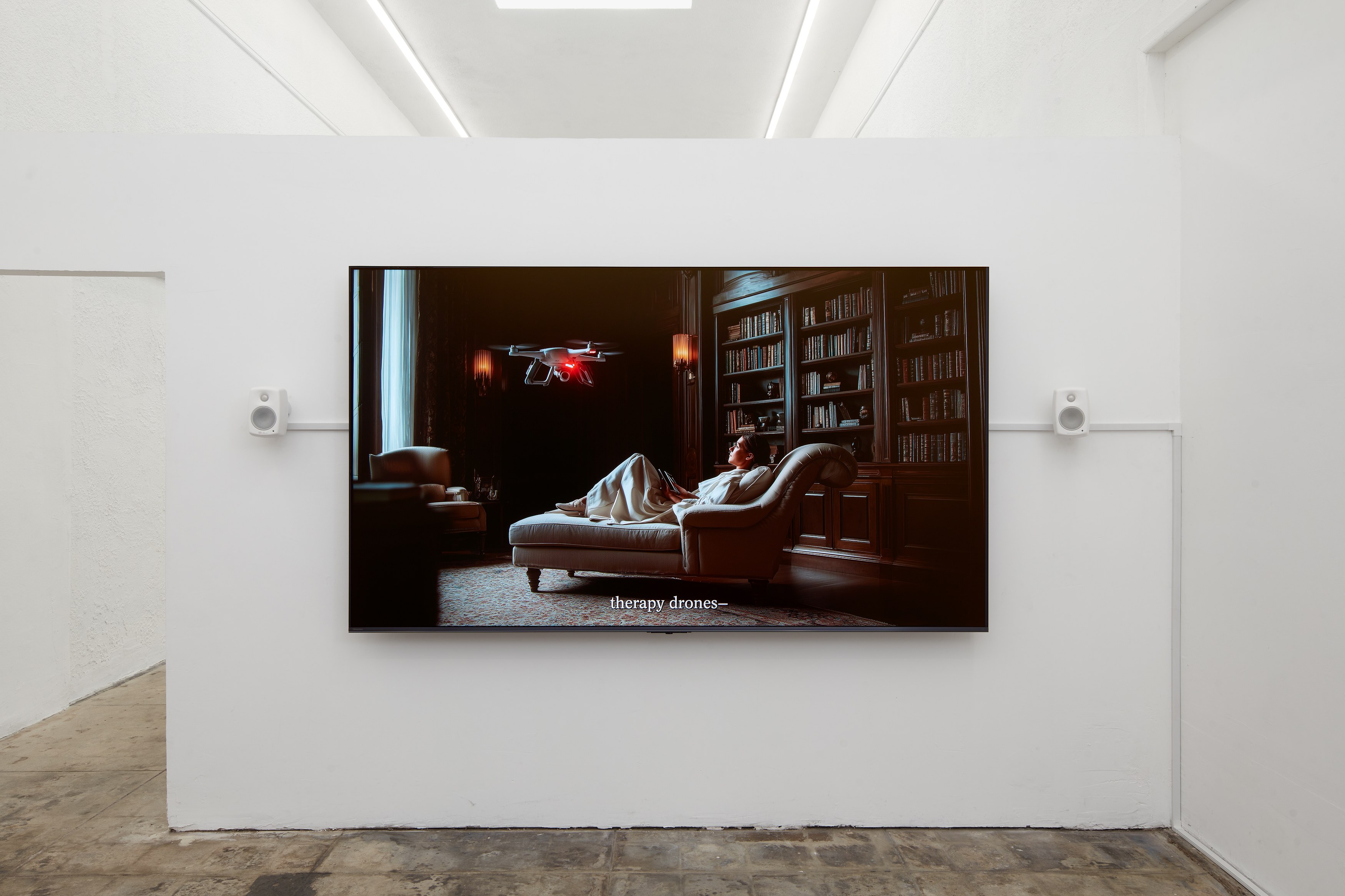 Coleman Collins, Latent Space at Ehrlich Steinberg, photo 13
