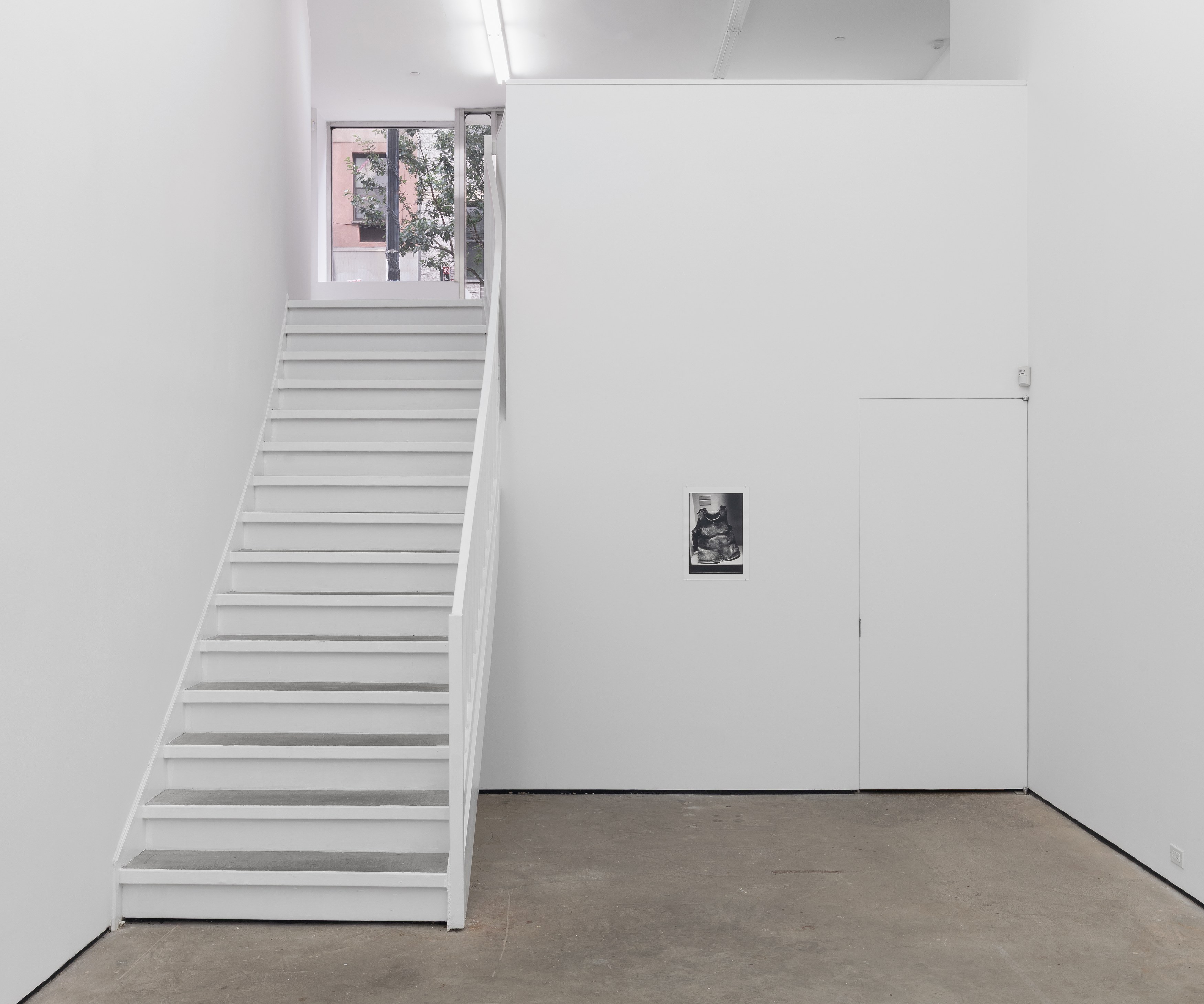 Zoe Leonard, Display at Maxwell Graham, photo 9