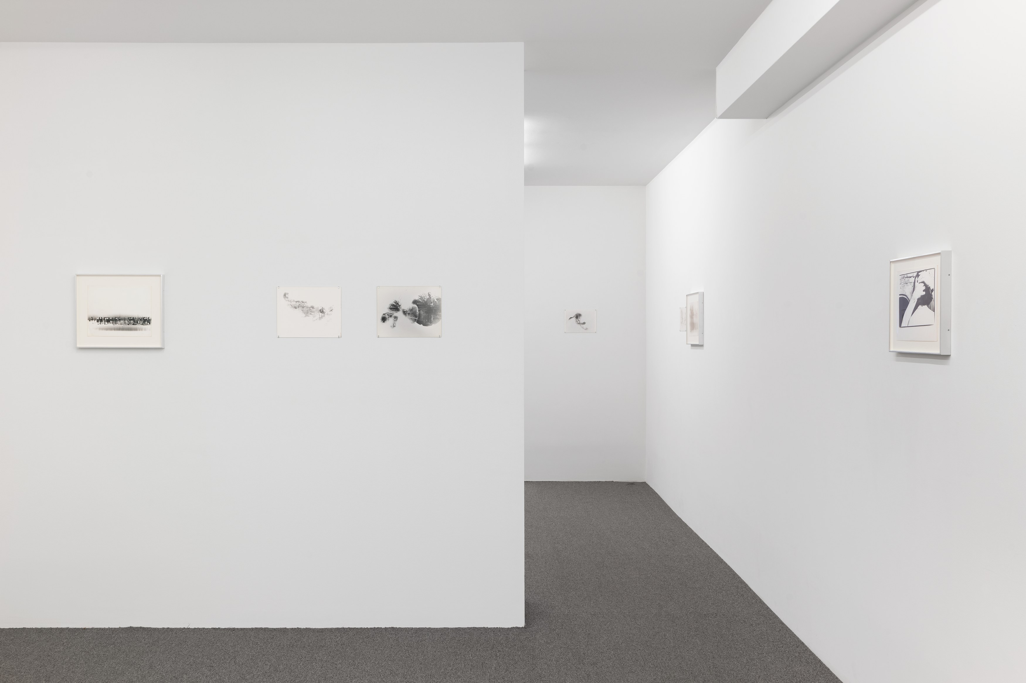 Alix Cléo Roubaud, image 22 of 32
