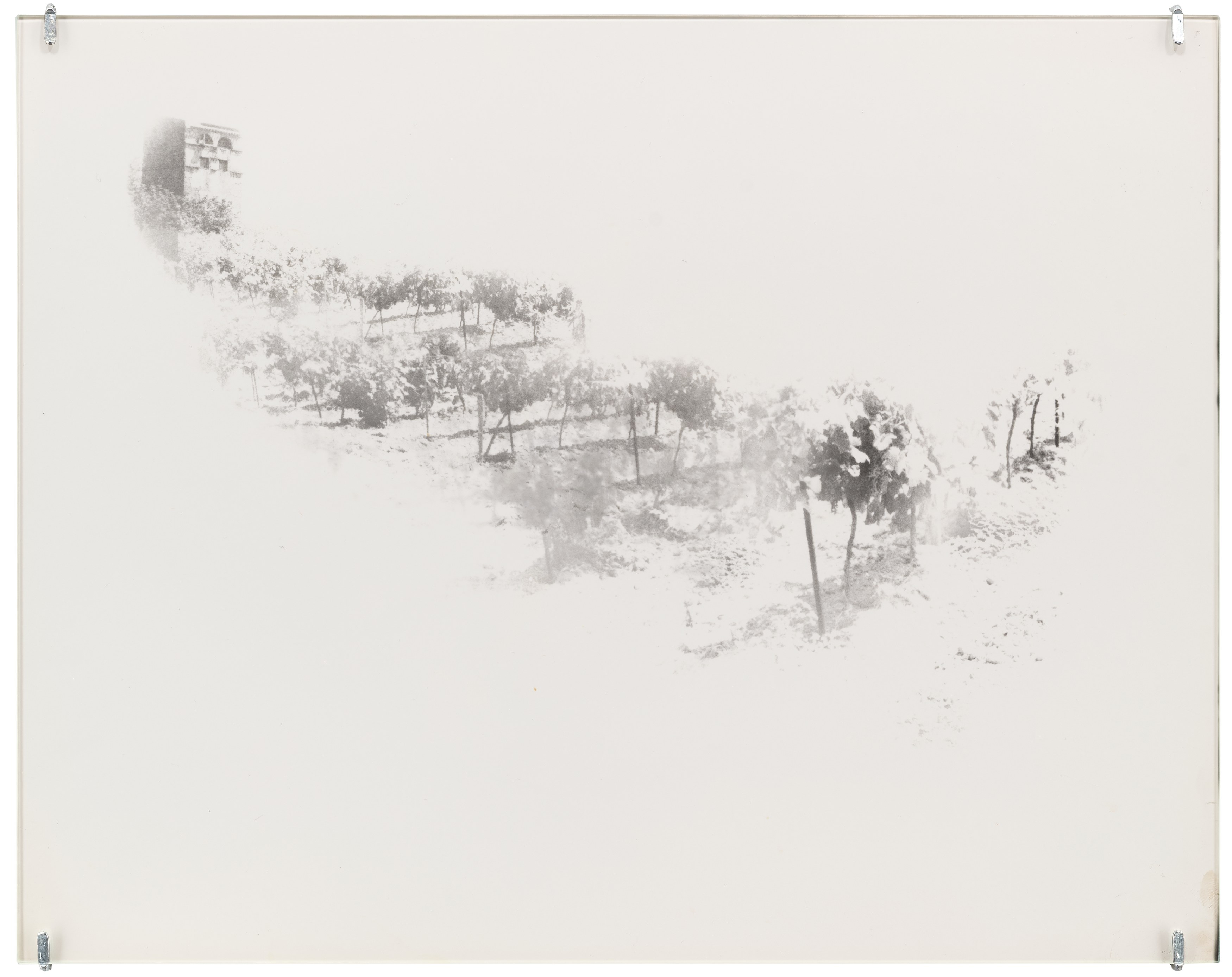 Alix Cléo Roubaud, image 27 of 32