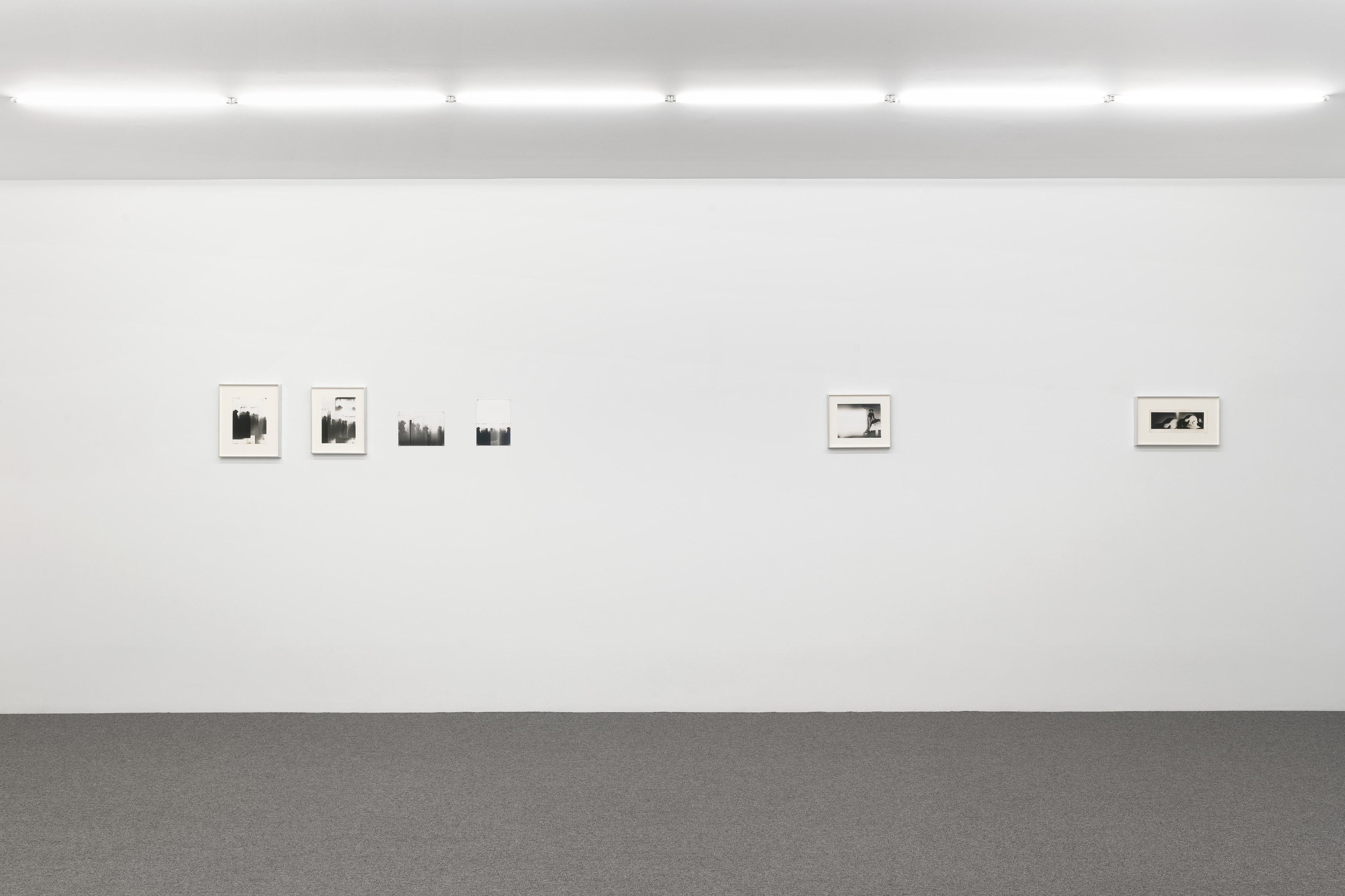 Alix Cléo Roubaud, image 32 of 32