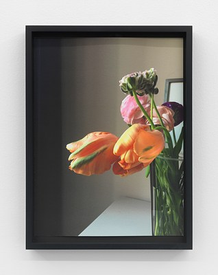 Image 11 of 21
