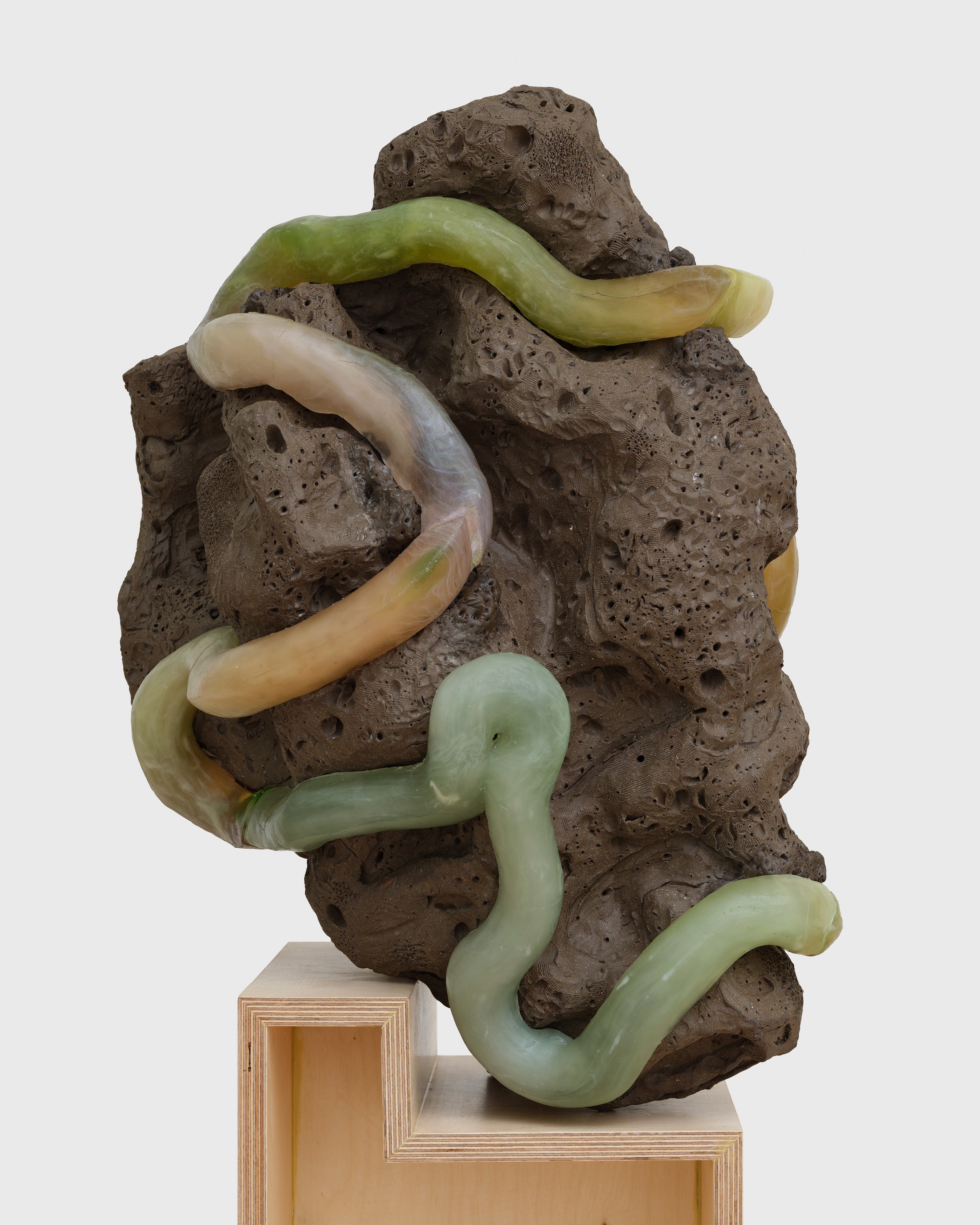Installation view 12