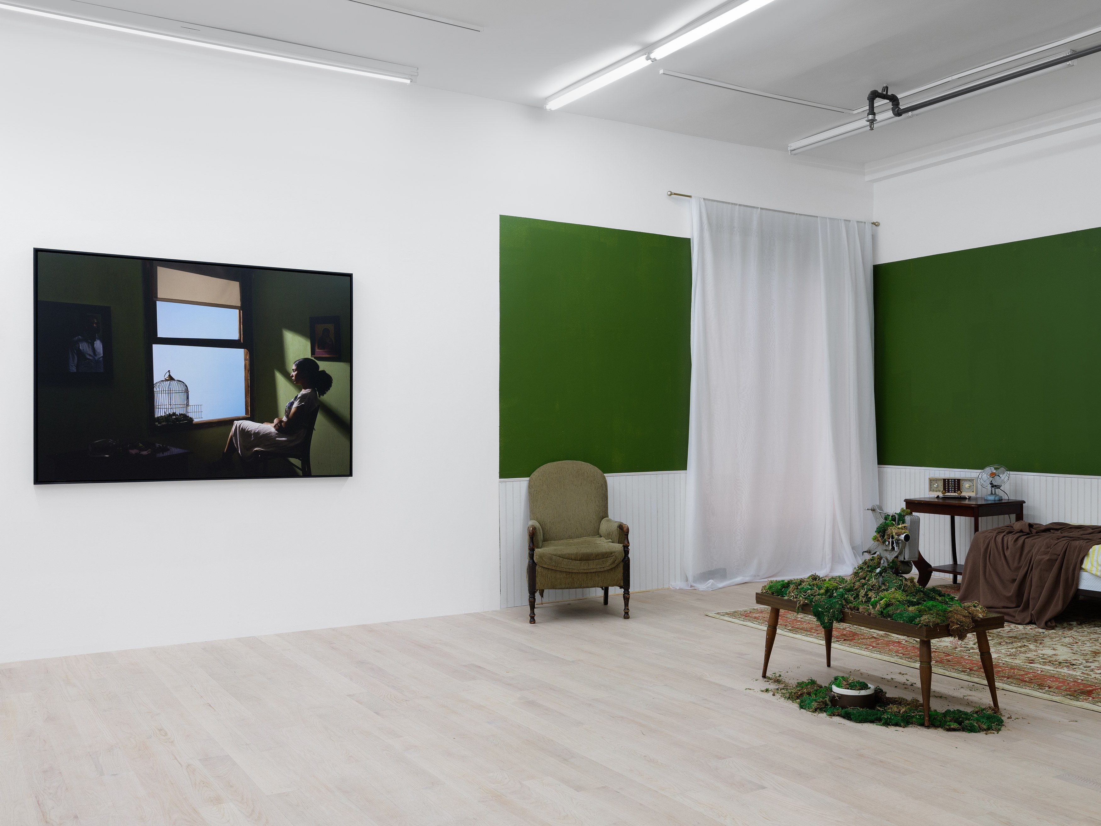 Installation view 4