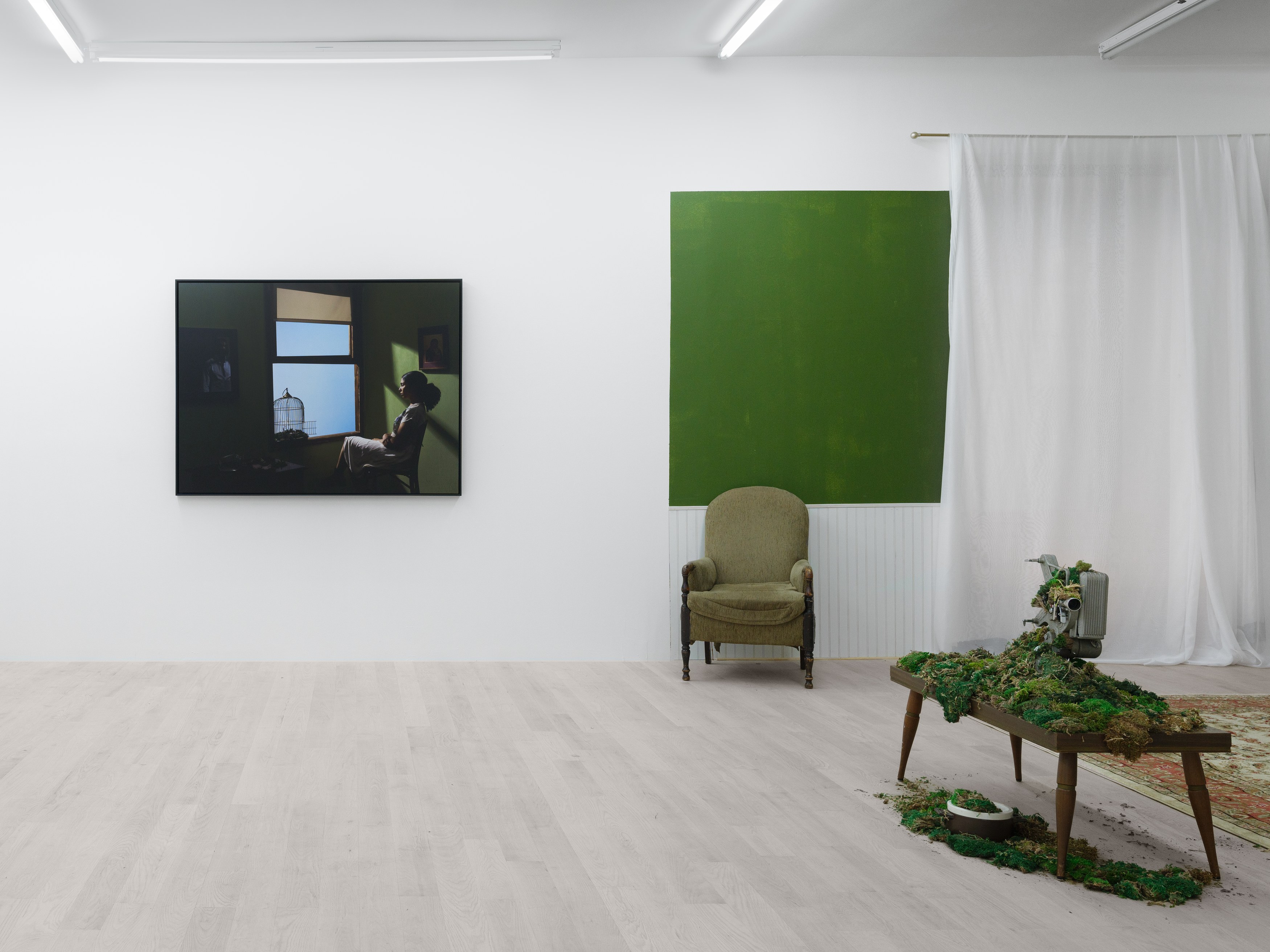 Installation view 6