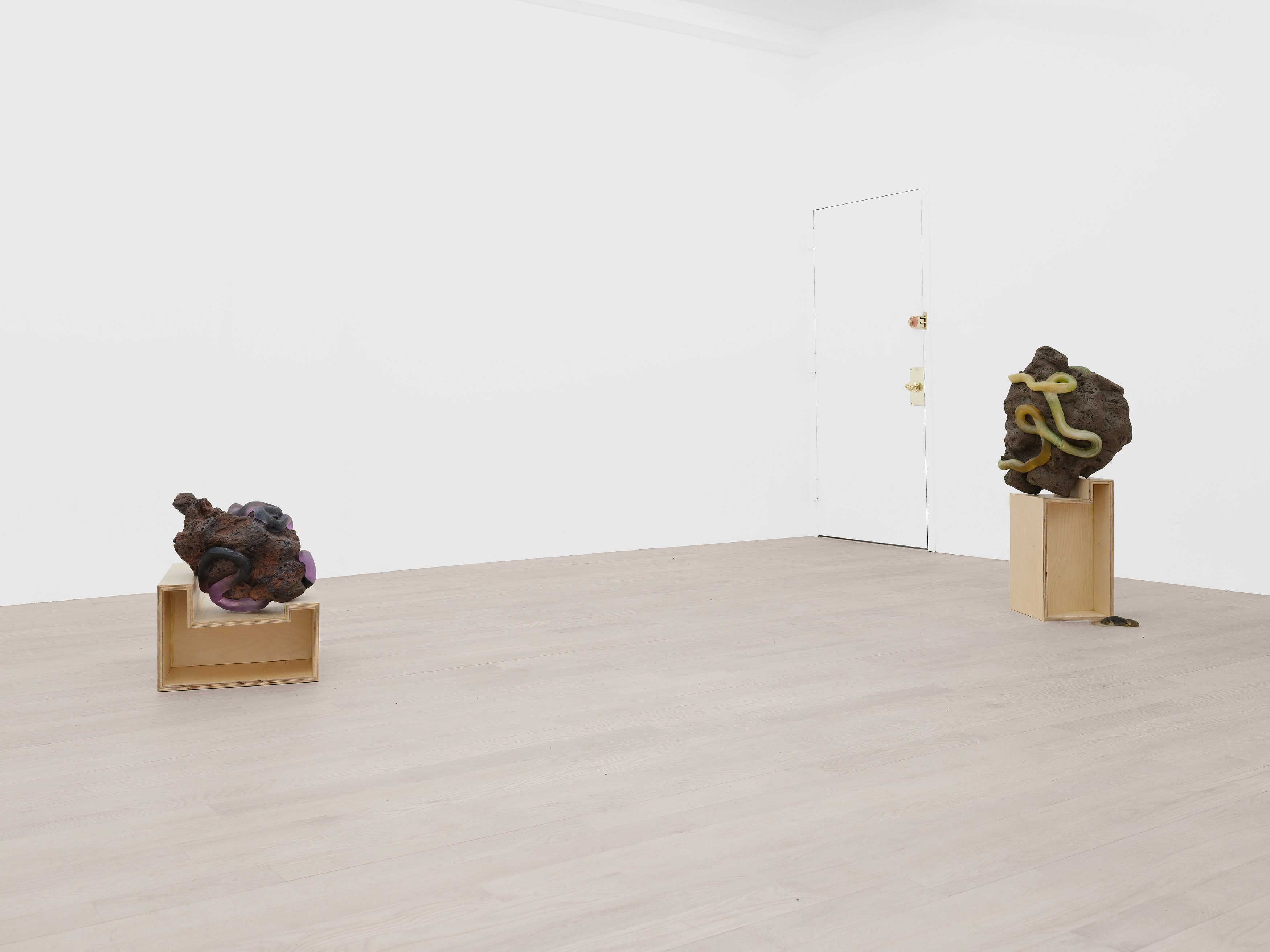 Installation view 5