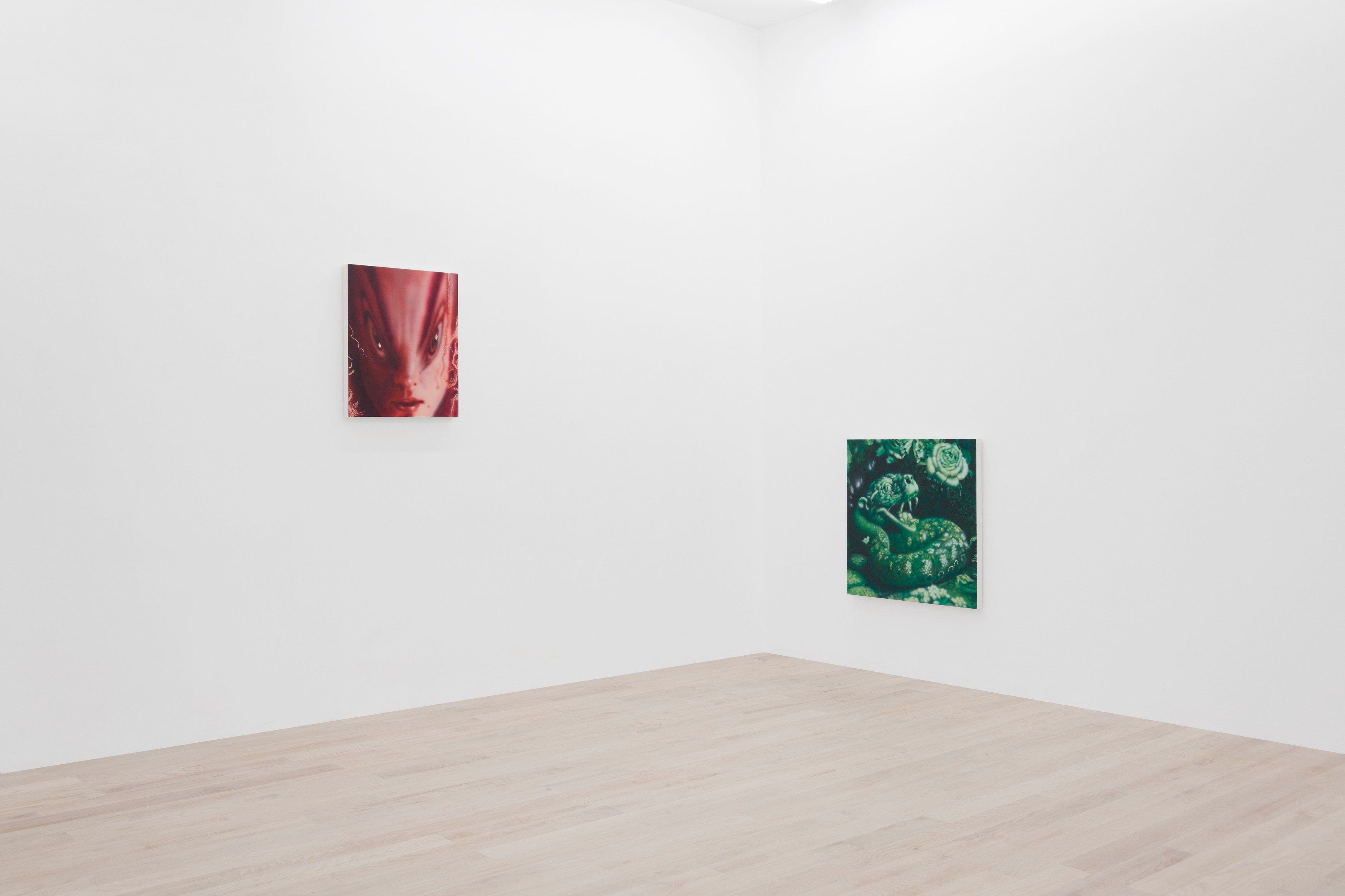 Installation view 4