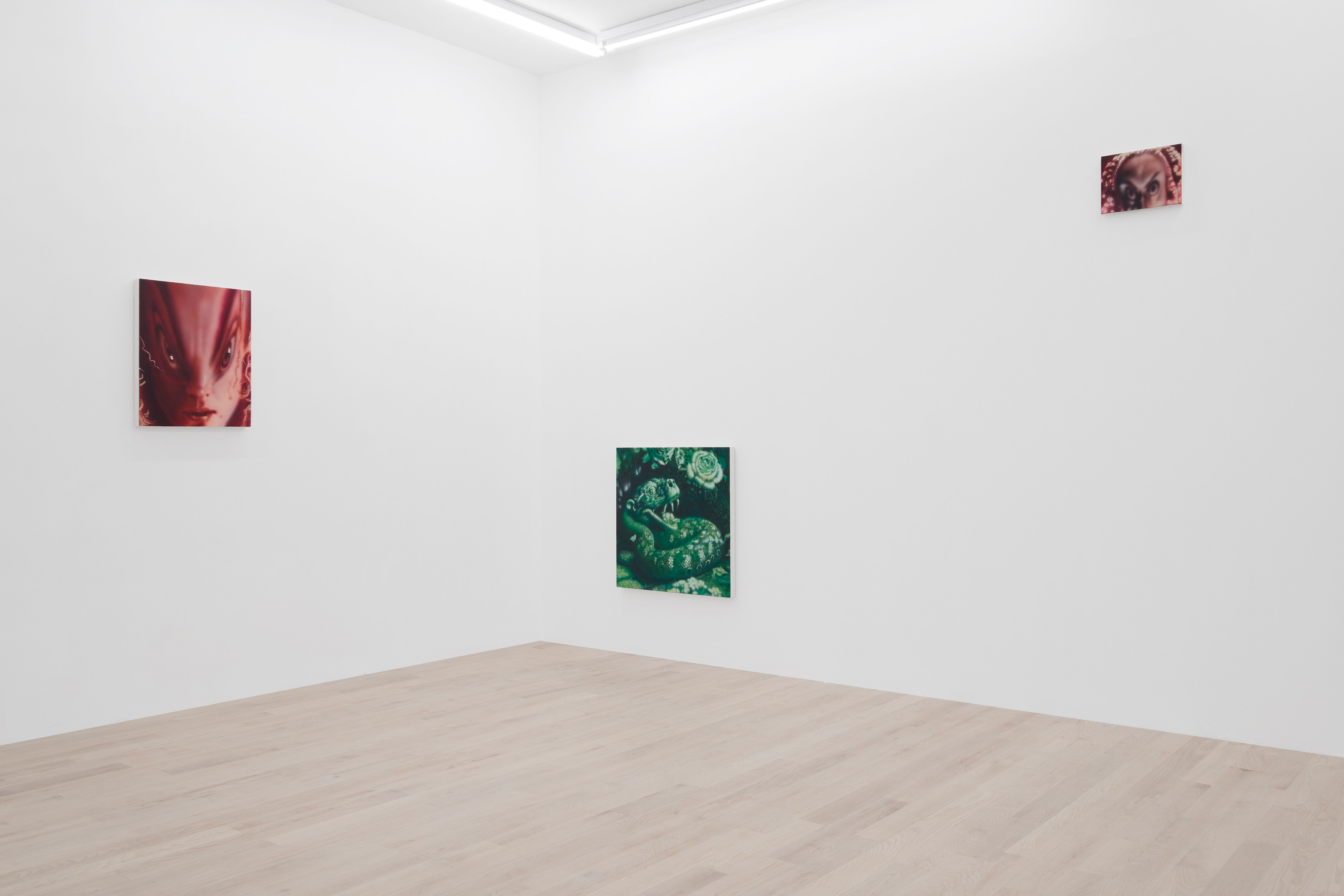 Installation view 5