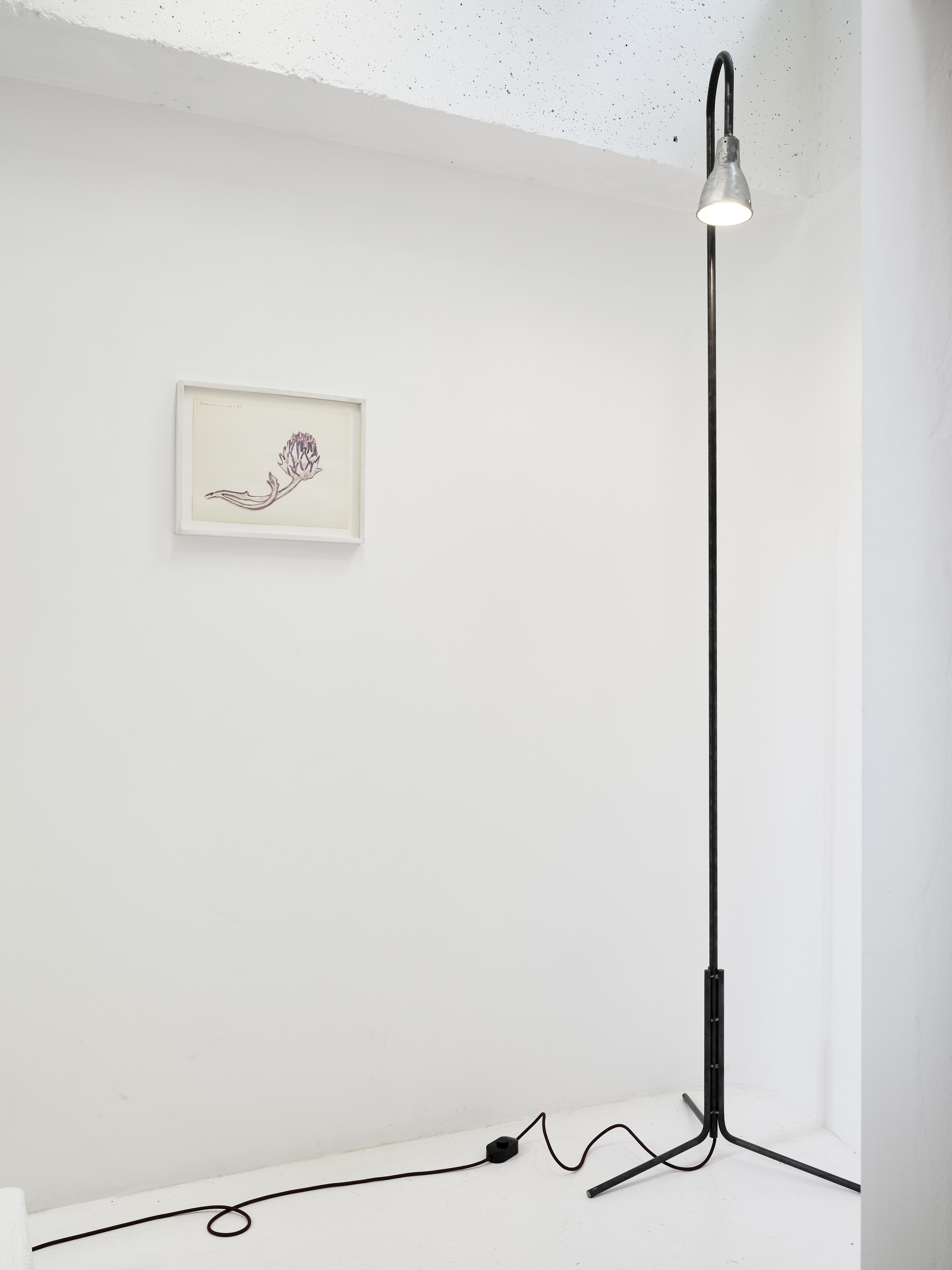Hamish Pearch, Maxime Testu, image 12 of 18