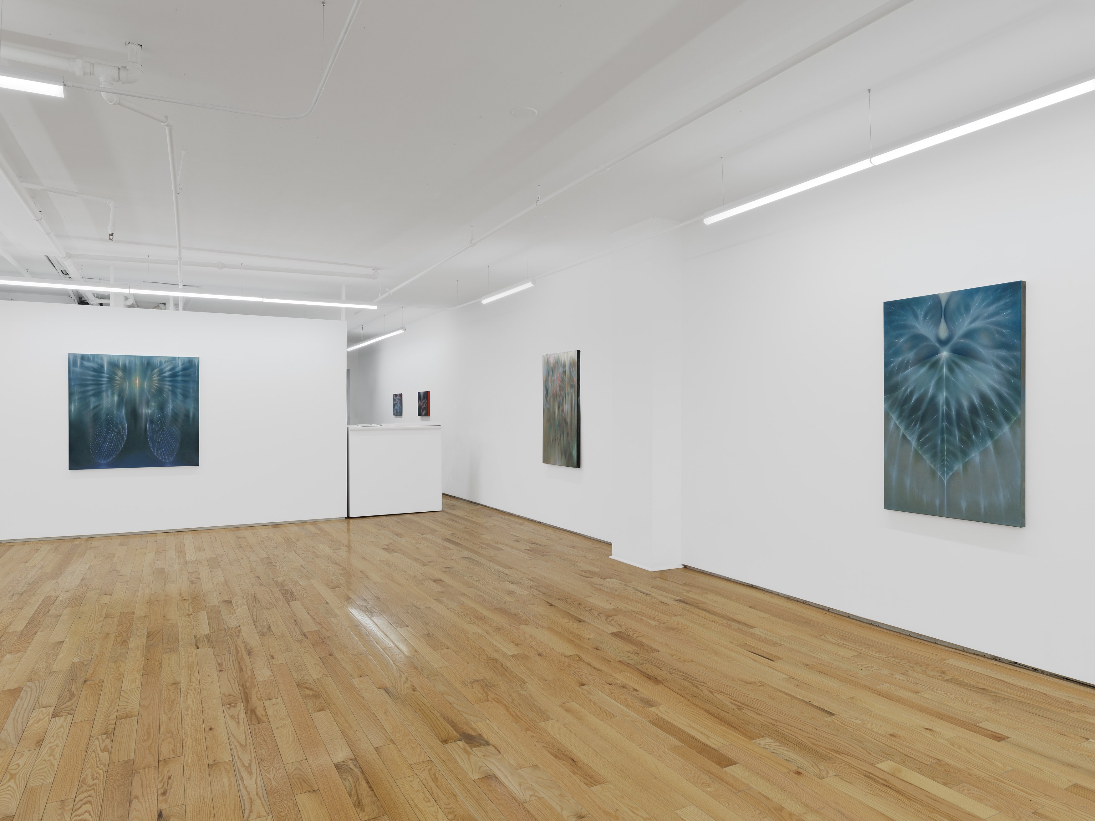 Shu Hua Xiong, Prayers at Island, photo 7