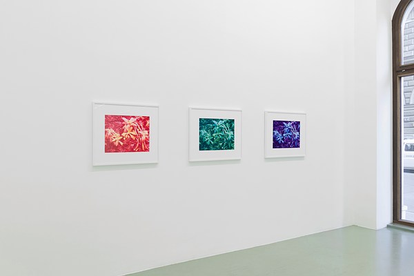 Image 1 of 19