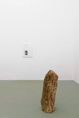 Image 7 of 19