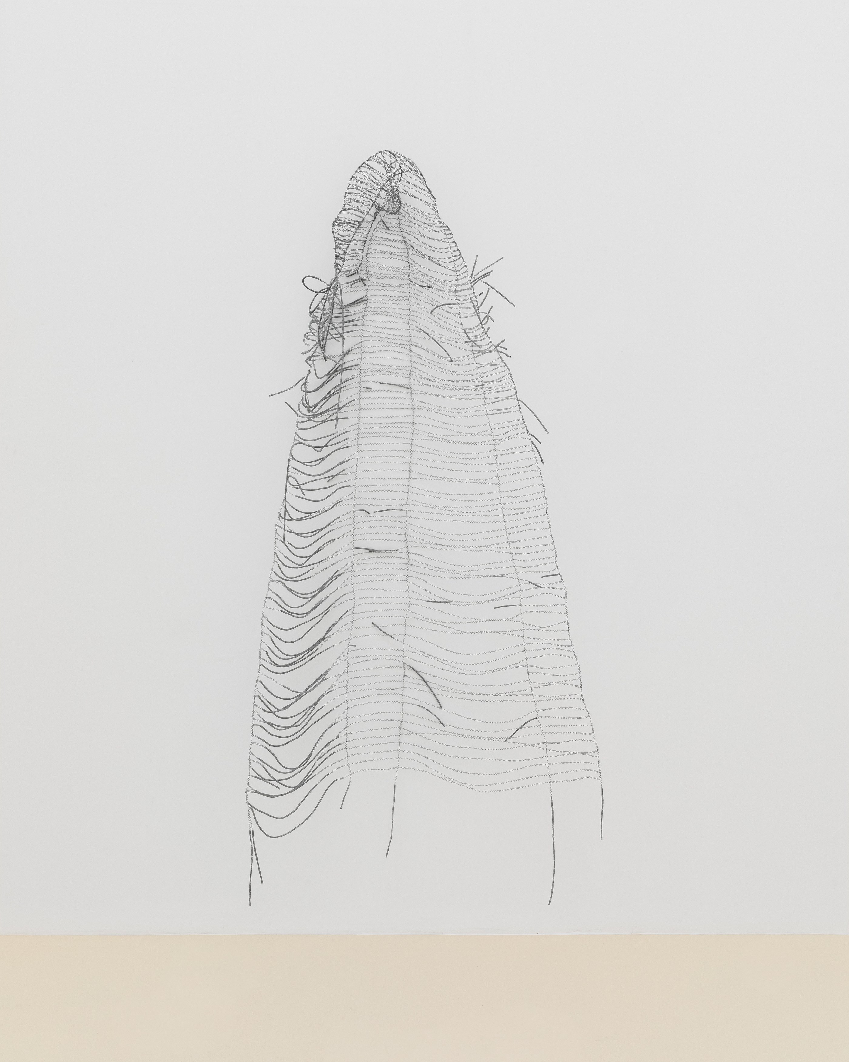 Jovencio de la Paz, Kanitha Tith, Untitled at Chris Sharp Gallery, photo 47