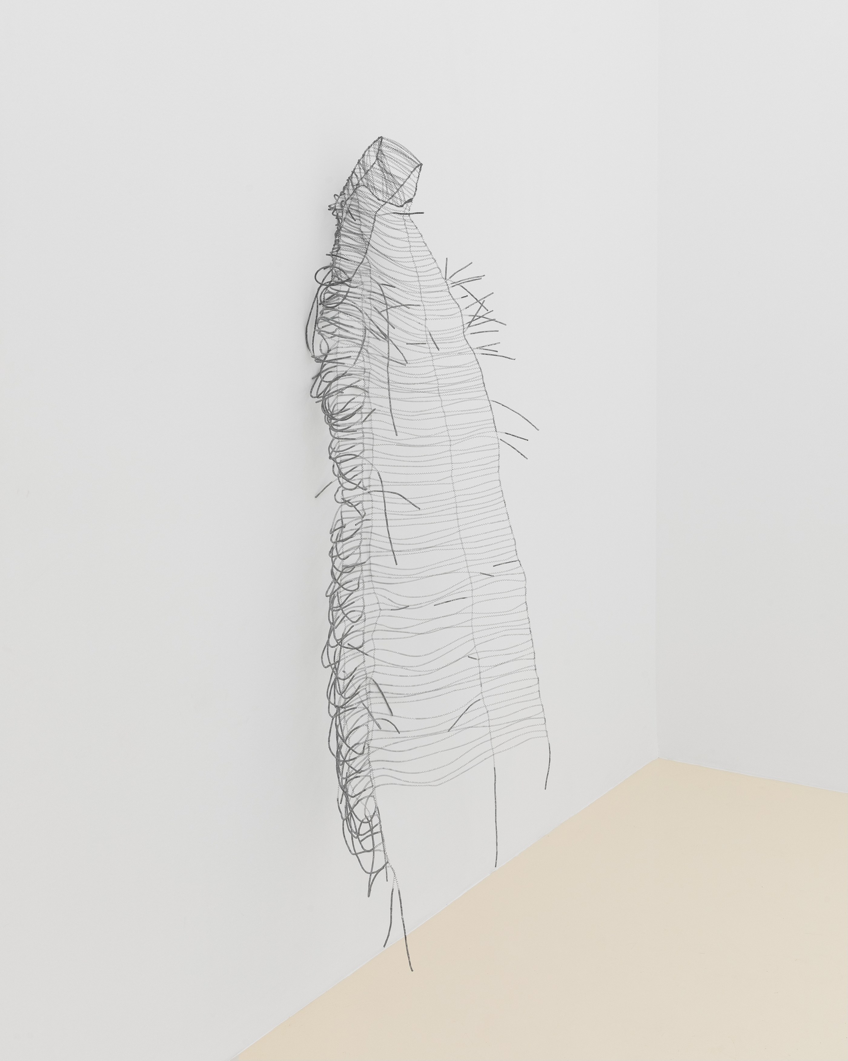 Jovencio de la Paz, Kanitha Tith, Untitled at Chris Sharp Gallery, photo 48