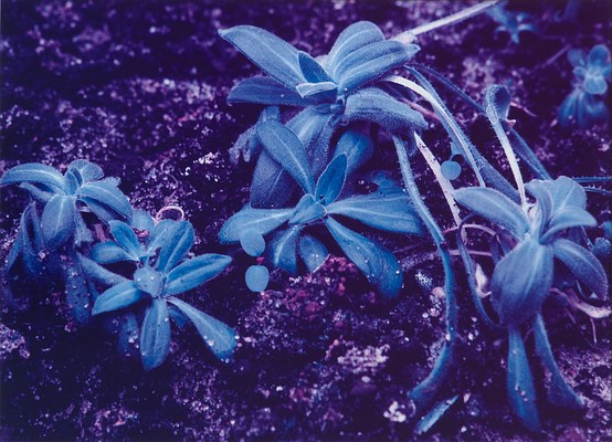 Image 9 of 19