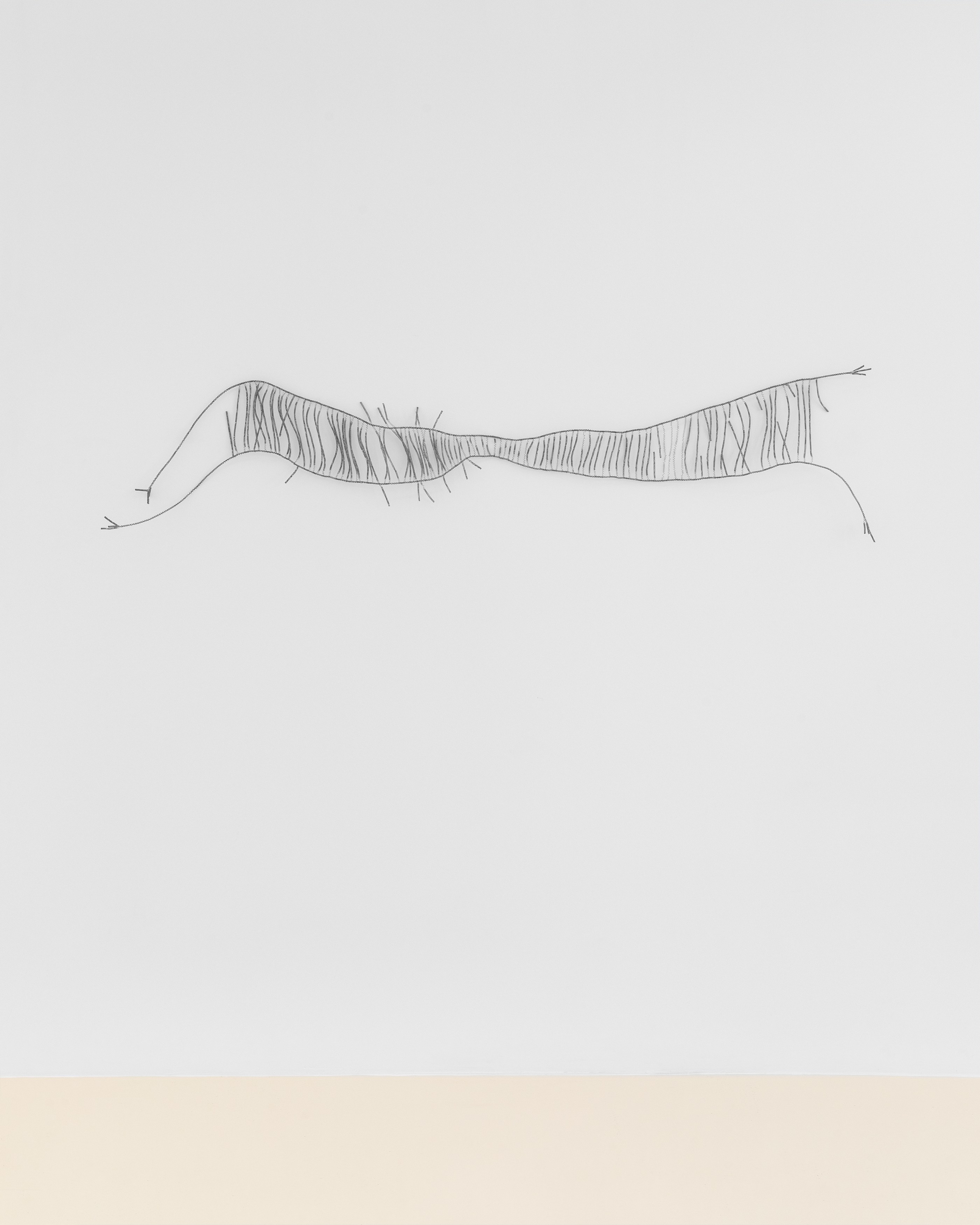 Jovencio de la Paz, Kanitha Tith, Untitled at Chris Sharp Gallery, photo 75