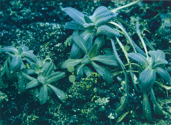 Image 10 of 19
