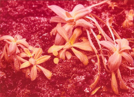 Image 11 of 19