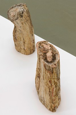 Image 12 of 19