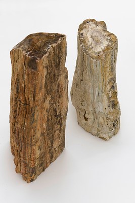 Image 13 of 19