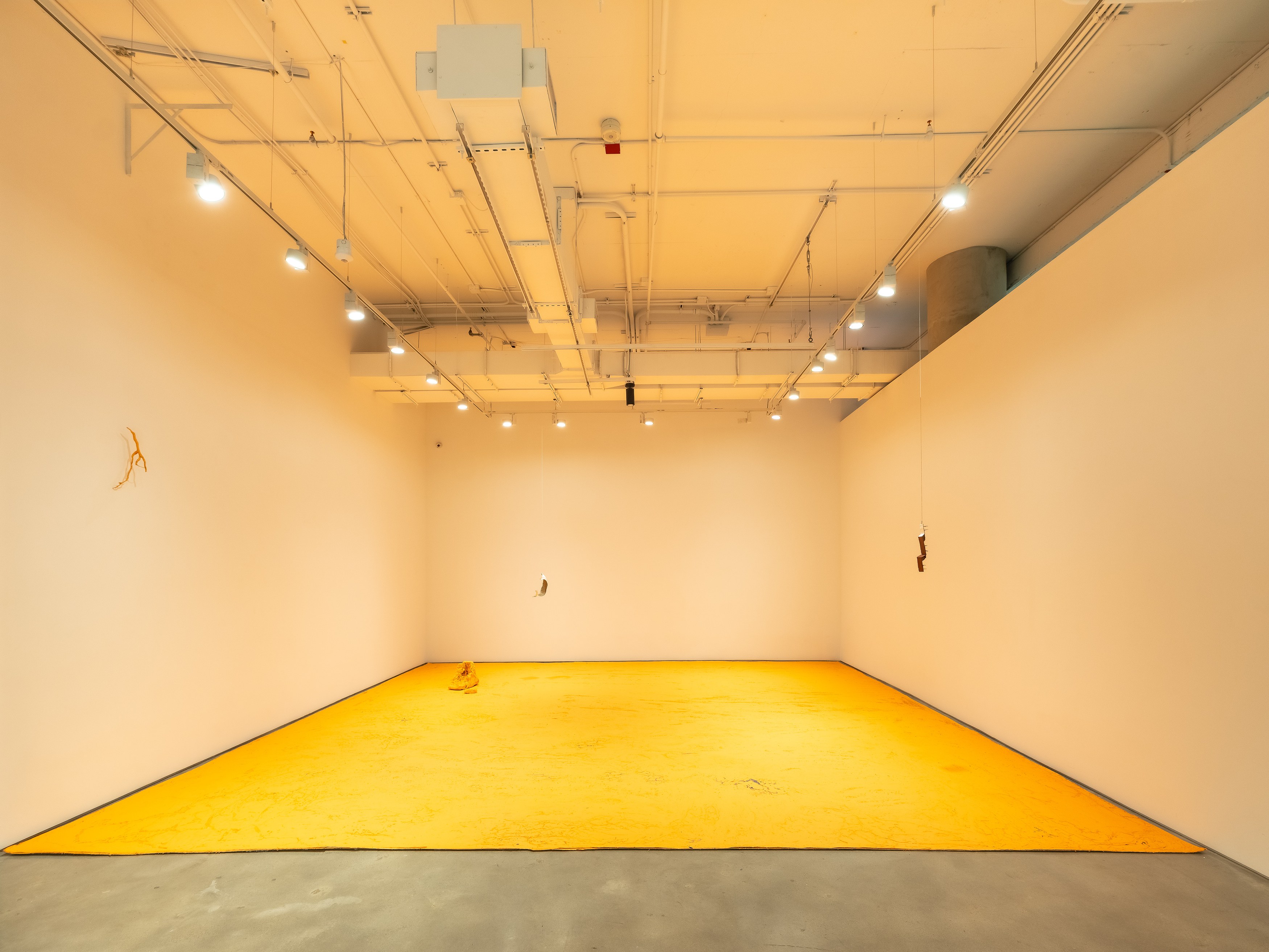 Carlos Bunga, Fragments for a Cartography of Return at Nara Roesler, photo 2