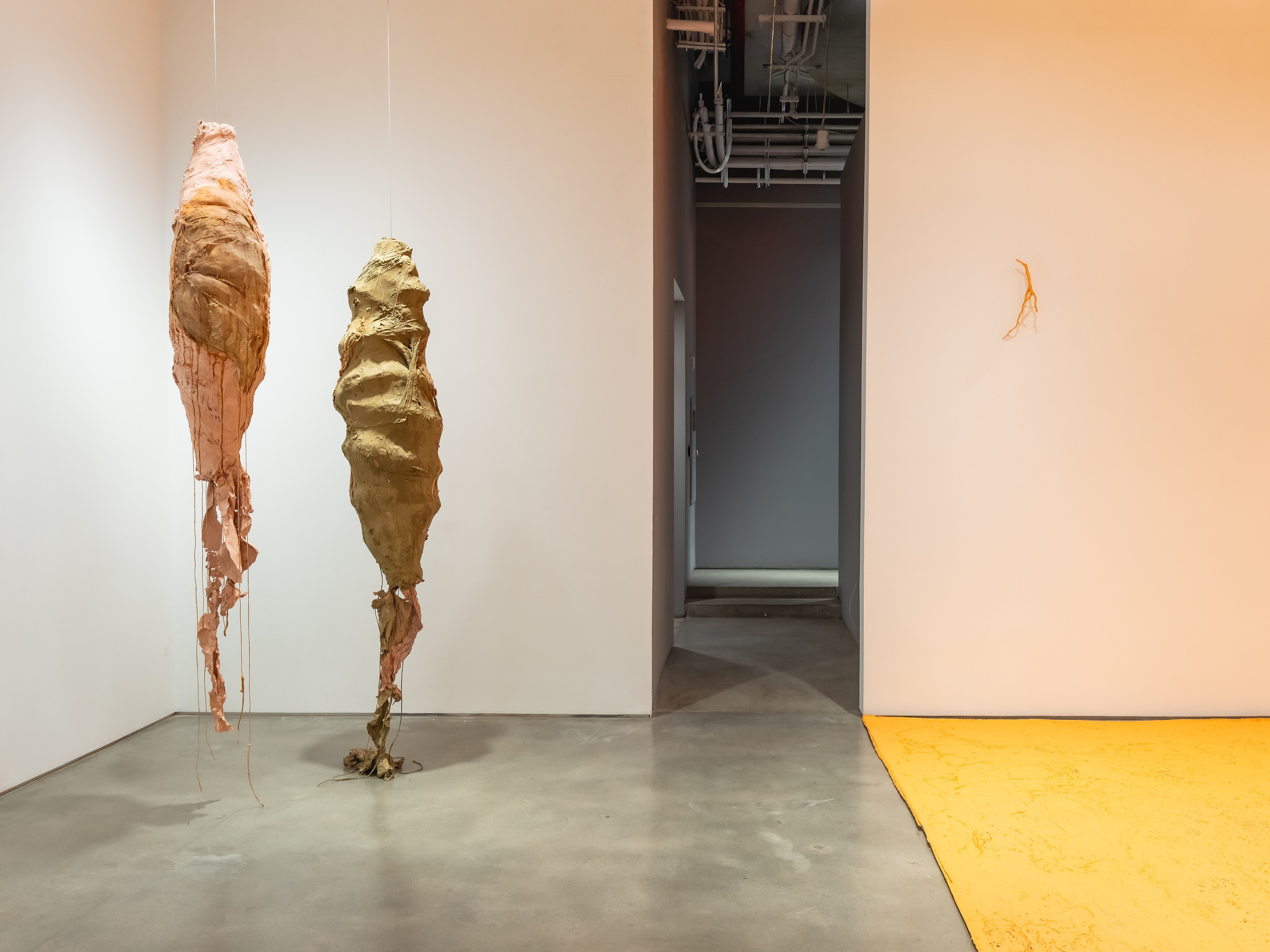 Carlos Bunga, Fragments for a Cartography of Return at Nara Roesler, photo 4