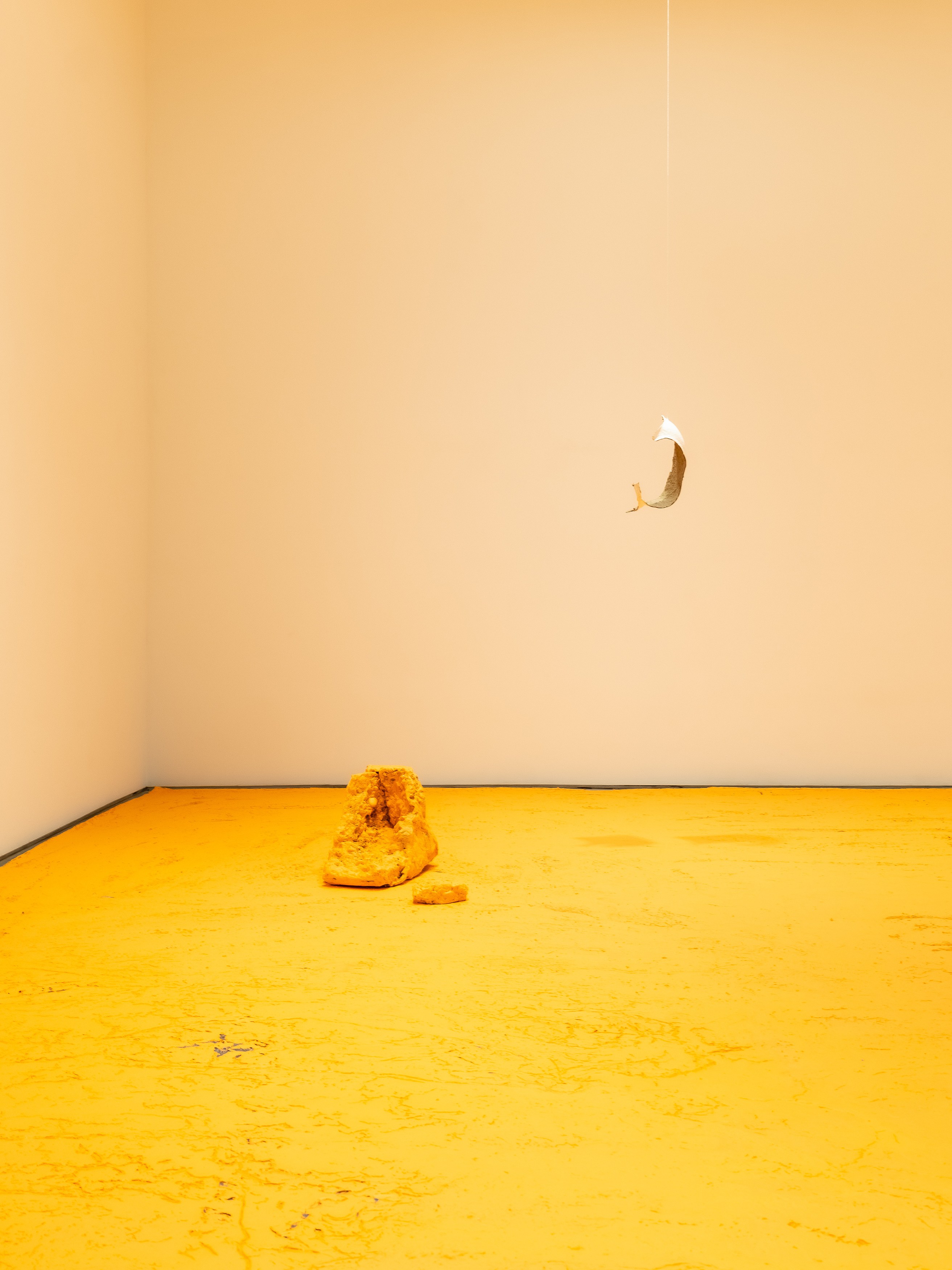 Carlos Bunga, Fragments for a Cartography of Return at Nara Roesler, photo 5
