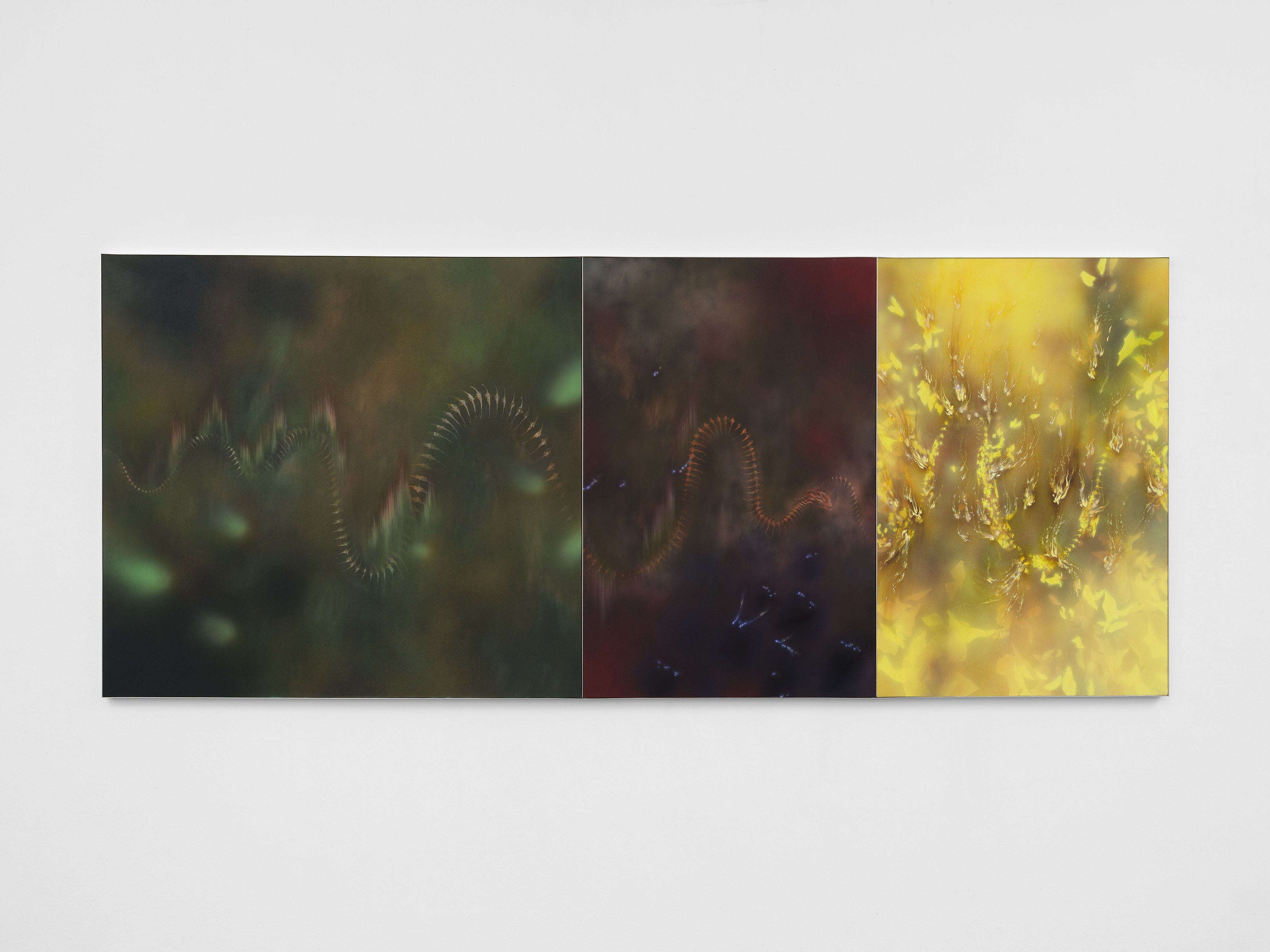 Natacha Donzé, valeurs refuge at max goelitz, photo 10