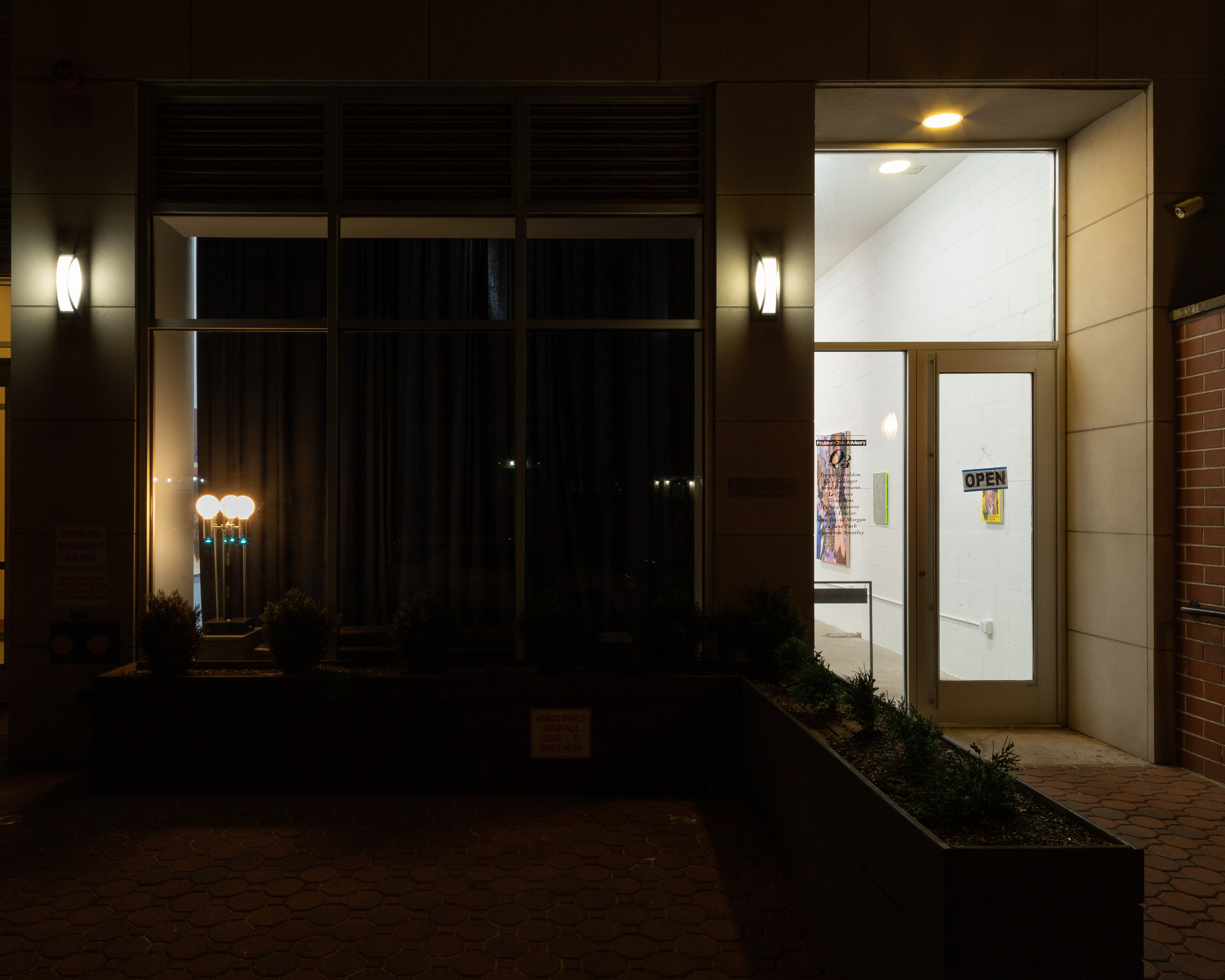 Nina Hartmann, Cameron Spratley, Q3 at Alyssa Davis Gallery, photo 71