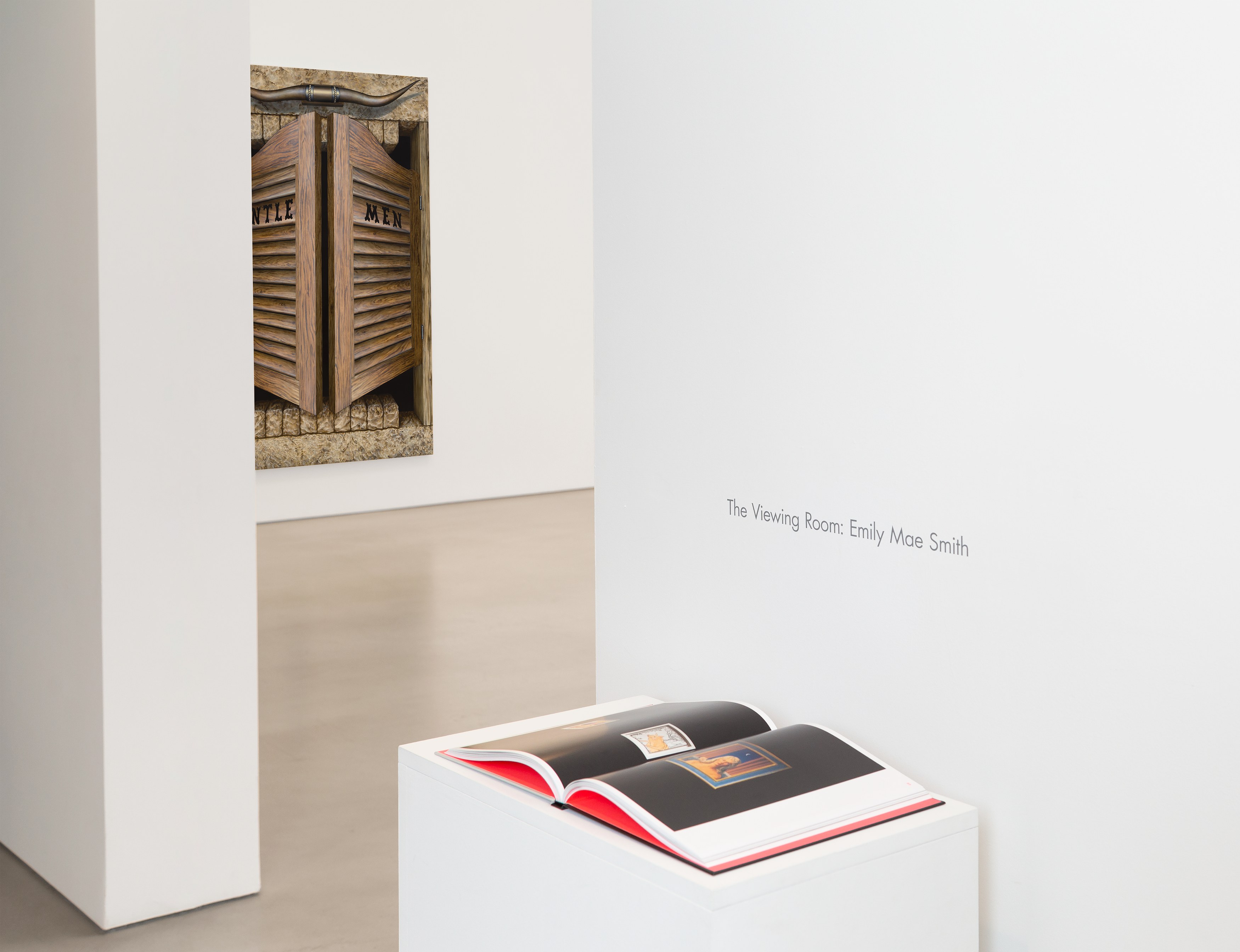 Emily Mae Smith, The Viewing Room at Petzel, photo 2
