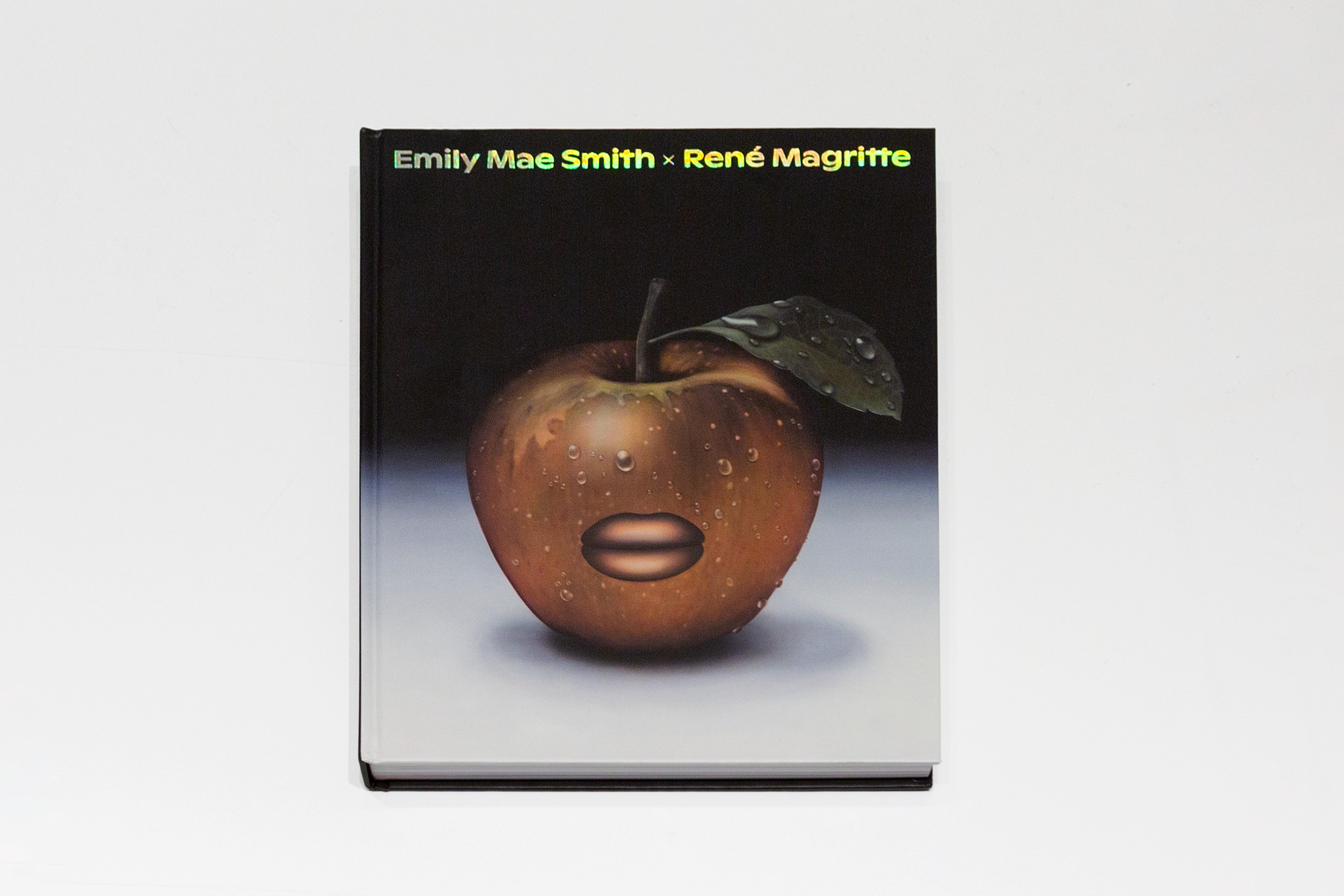 Emily Mae Smith, The Viewing Room at Petzel, photo 6