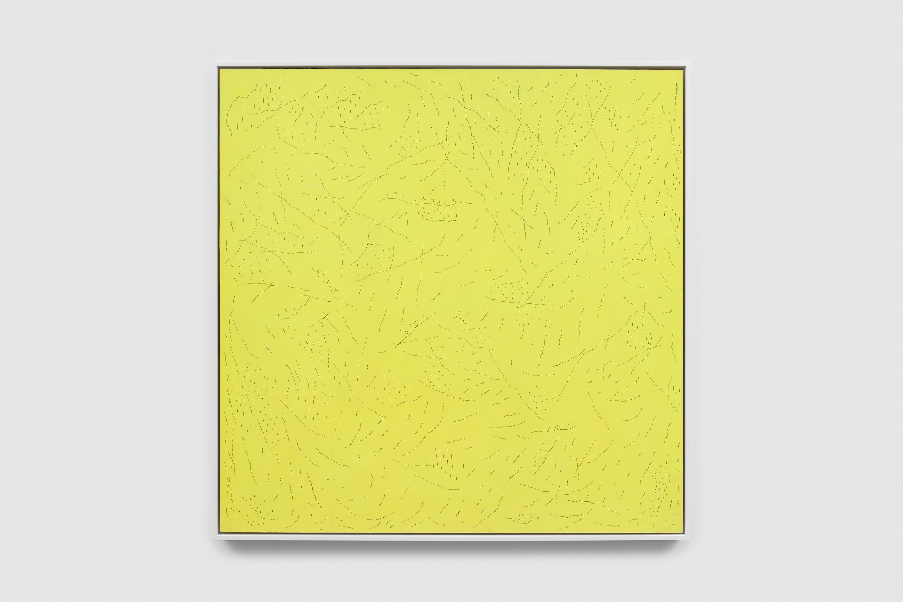 Lucia Di Luciano, Untitled at Museum St, photo 9