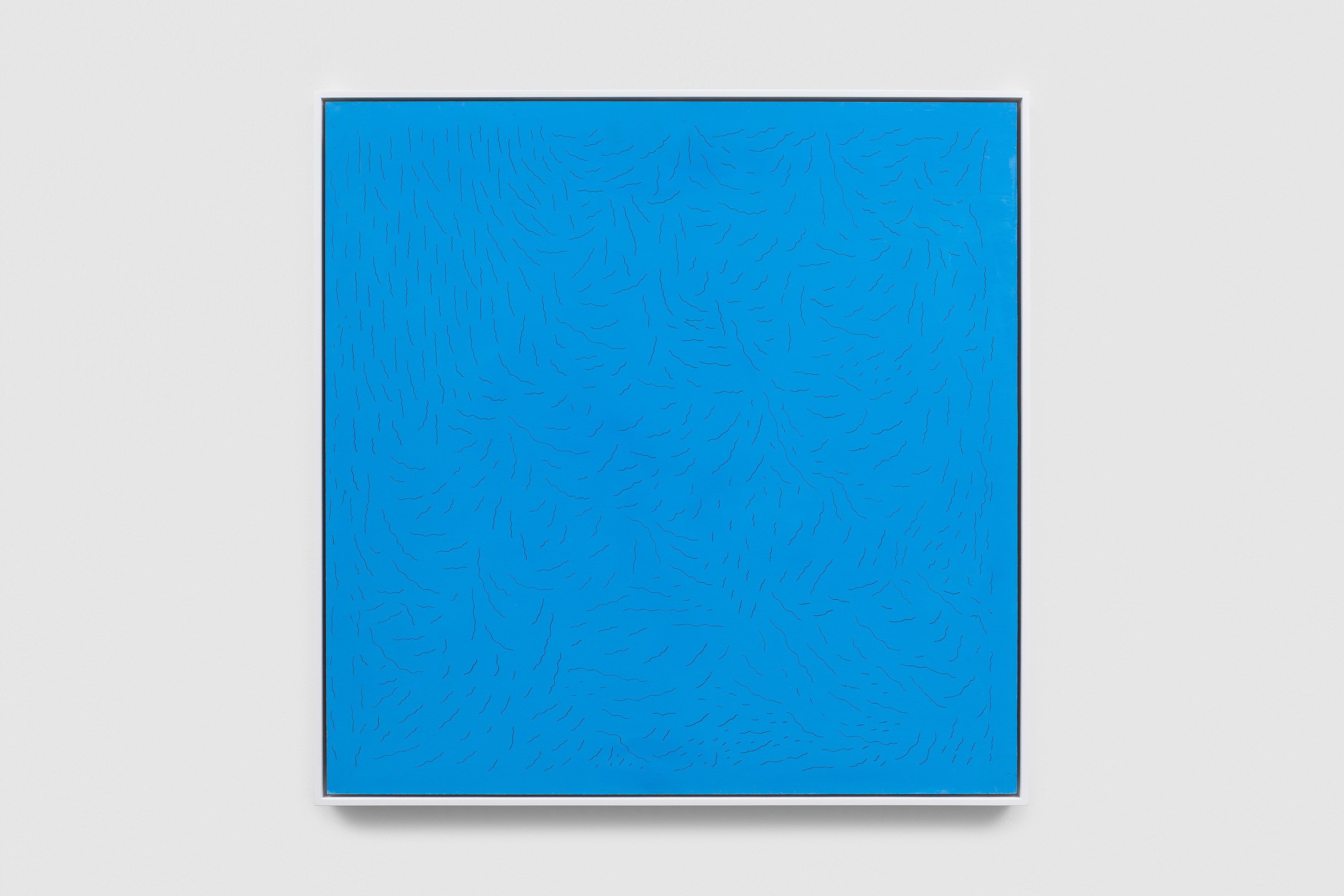 Lucia Di Luciano, Untitled at Museum St, photo 11