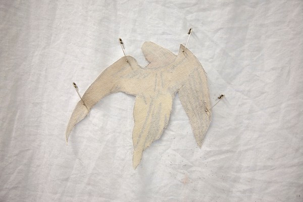 Image 10 of 24