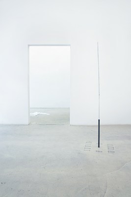 Image 11 of 37
