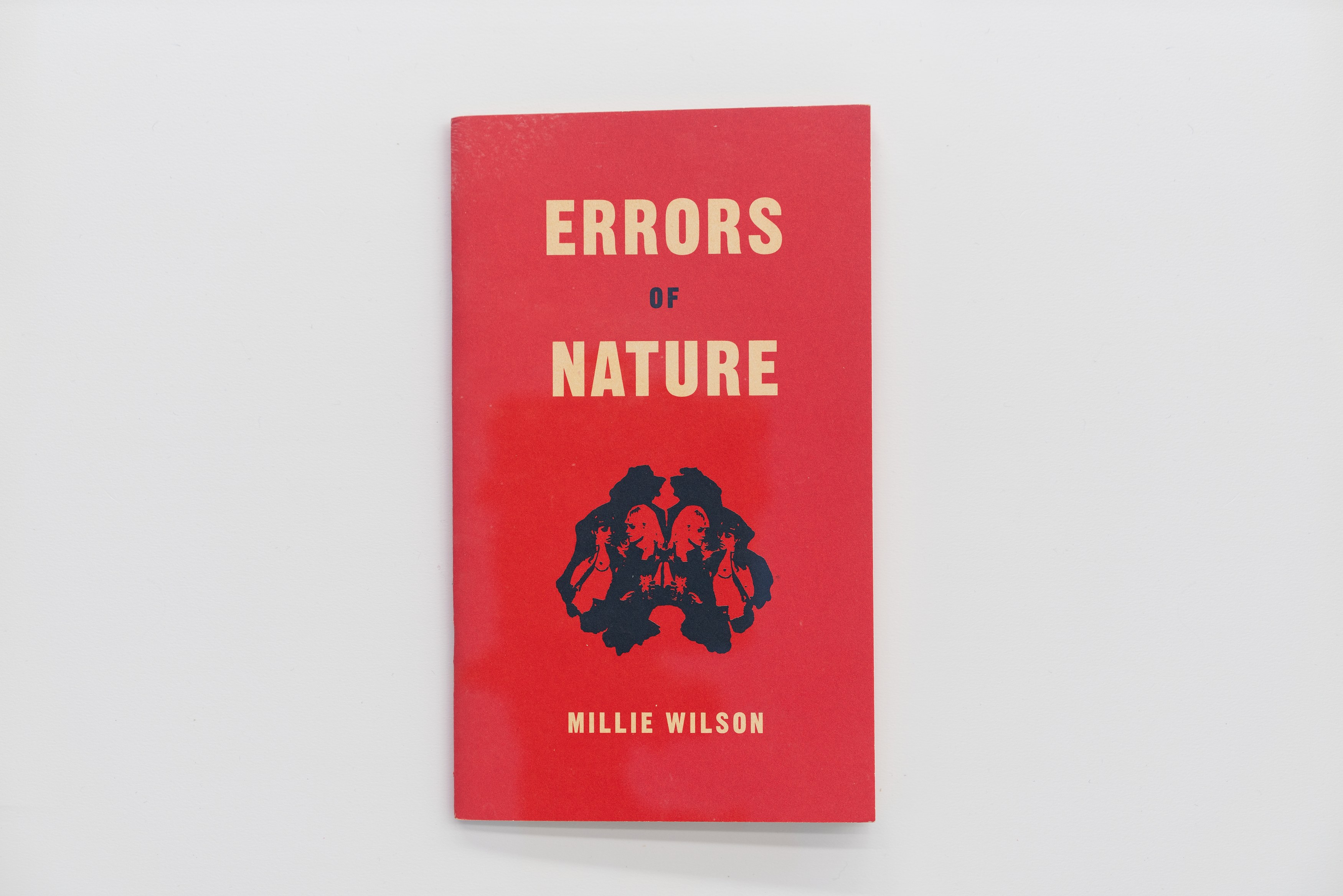 Tiona Nekkia McClodden, Millie Wilson, Lesbian Legacies #2: Archive Affections at Scherben, photo 4