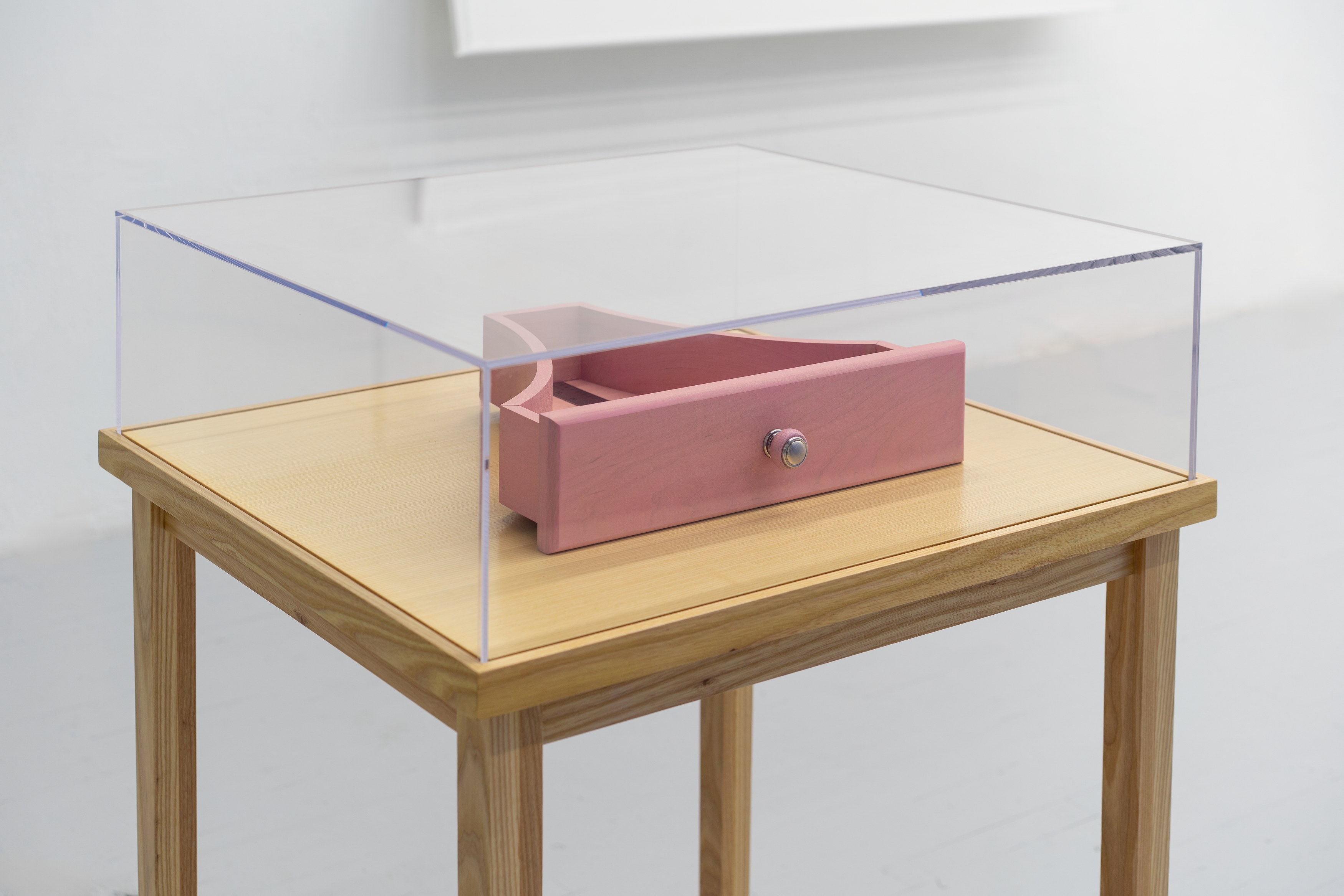 Tiona Nekkia McClodden, Millie Wilson, Lesbian Legacies #2: Archive Affections at Scherben, photo 6