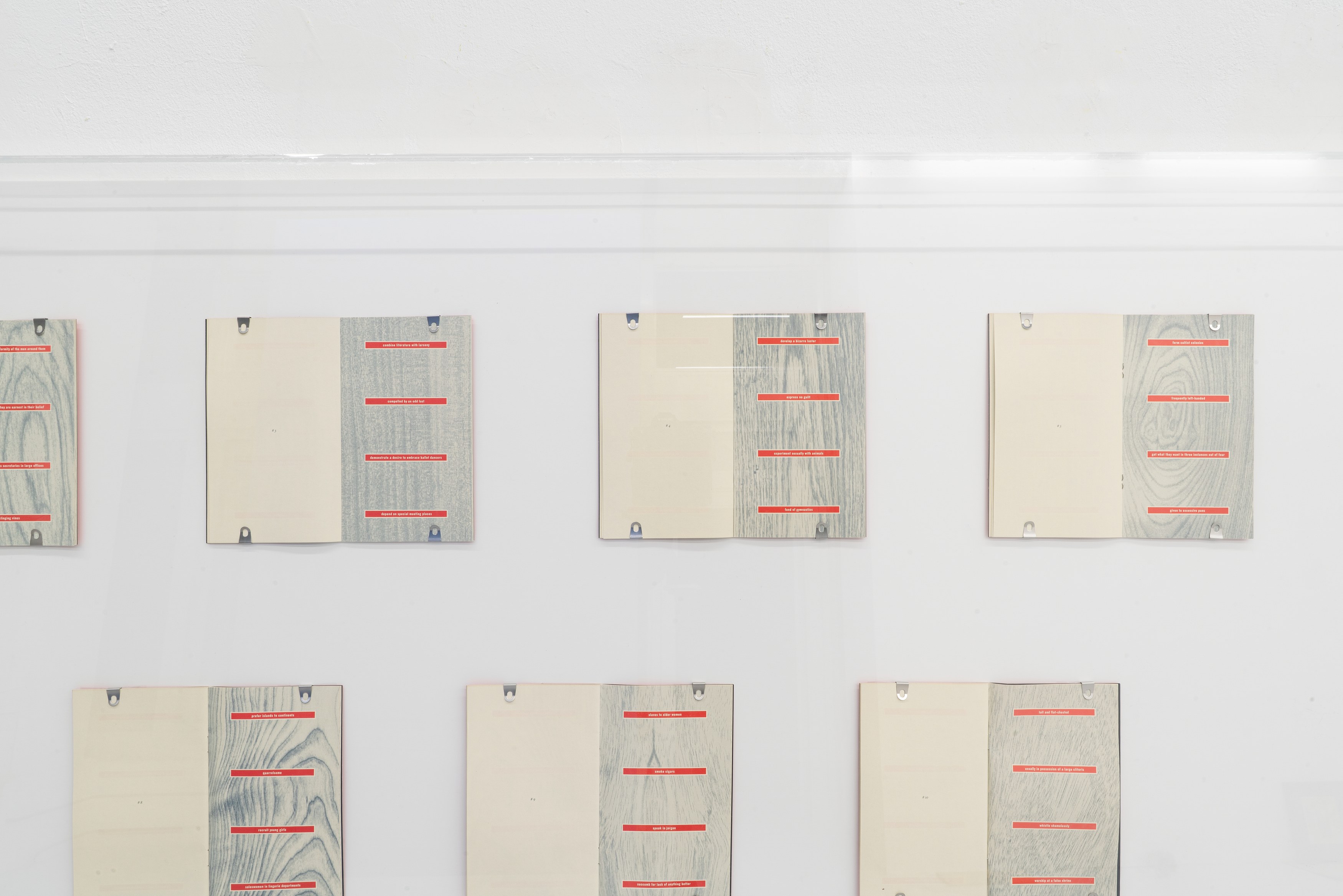 Tiona Nekkia McClodden, Millie Wilson, Lesbian Legacies #2: Archive Affections at Scherben, photo 2