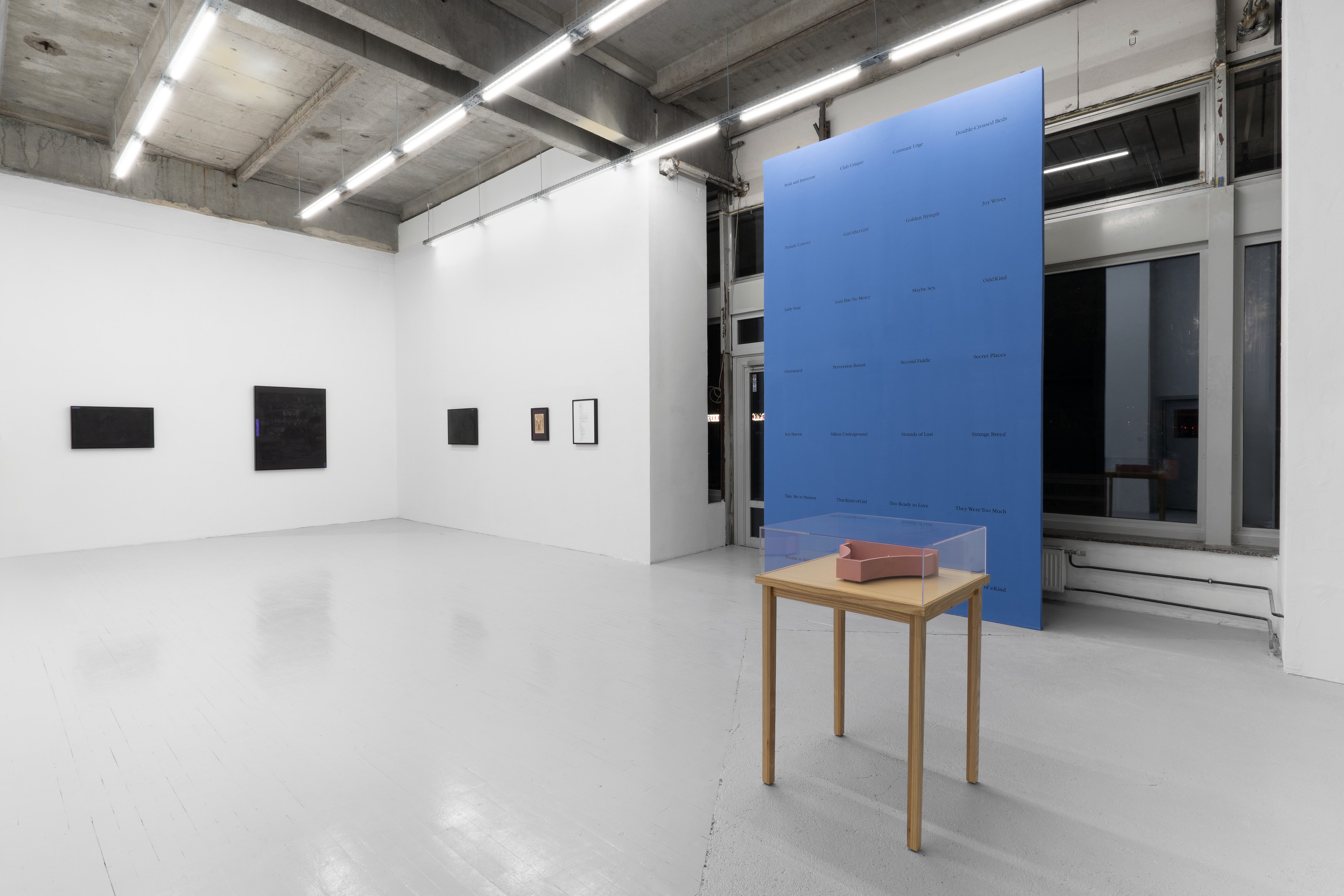 Tiona Nekkia McClodden, Millie Wilson, Lesbian Legacies #2: Archive Affections at Scherben, photo 17