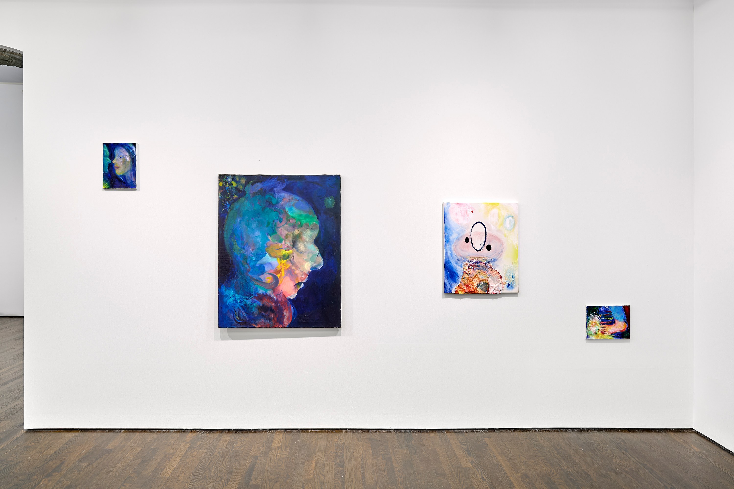 Amy Sheffer, I Am Shee at White Columns, photo 6