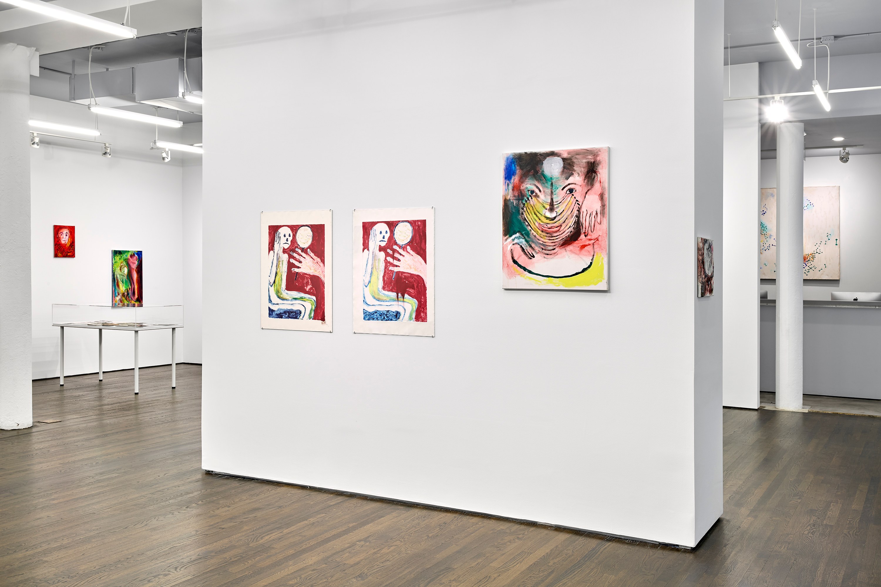 Amy Sheffer, I Am Shee at White Columns, photo 4
